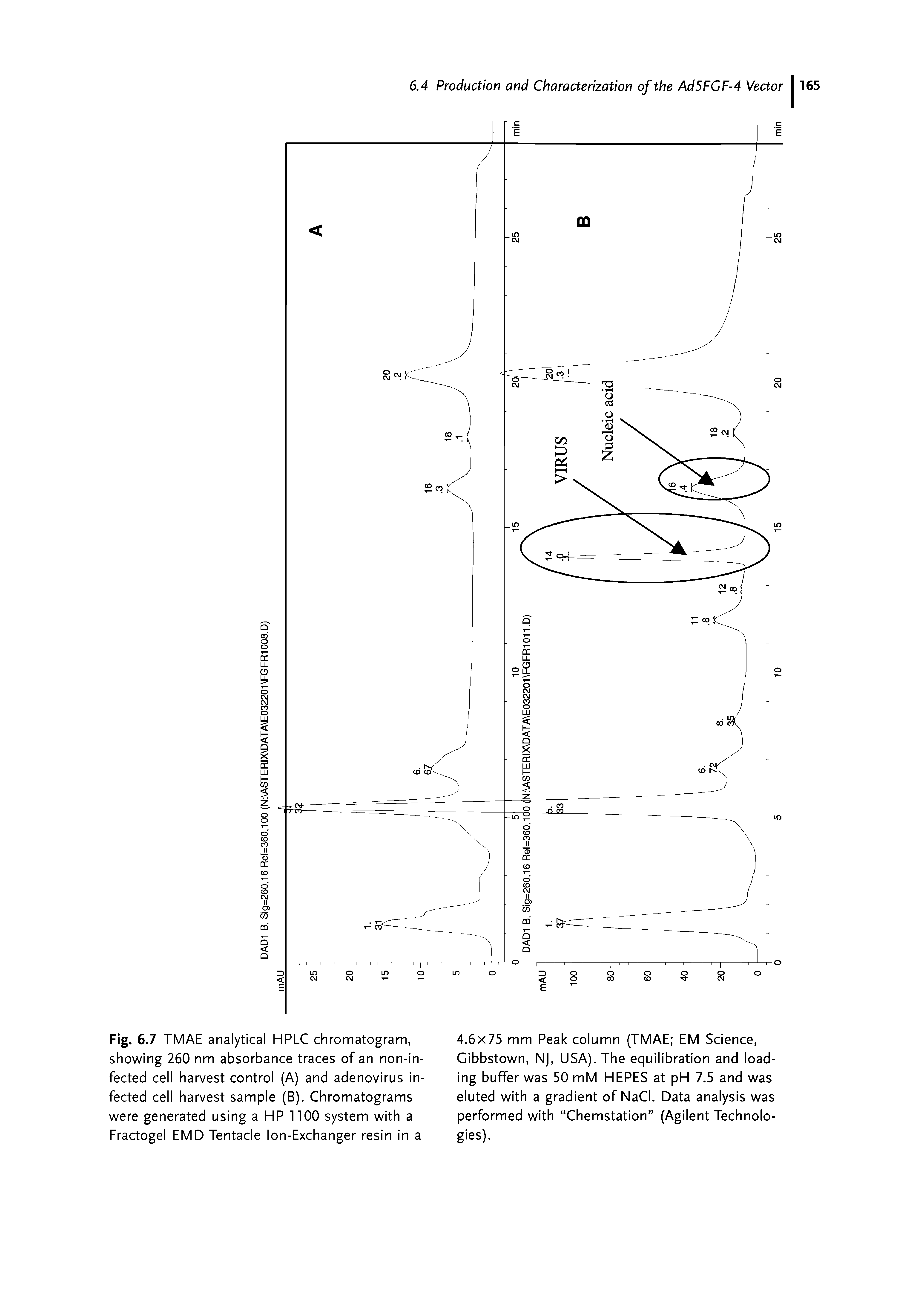 Fig. 6.7 TMAE analytical HPLC chromatogram, showing 260 nm absorbance traces of an non-in-fected cell harvest control (A) and adenovirus infected cell harvest sample (B). Chromatograms were generated using a HP 1100 system with a Fractogel EMD Tentacle Ion-Exchanger resin in a...