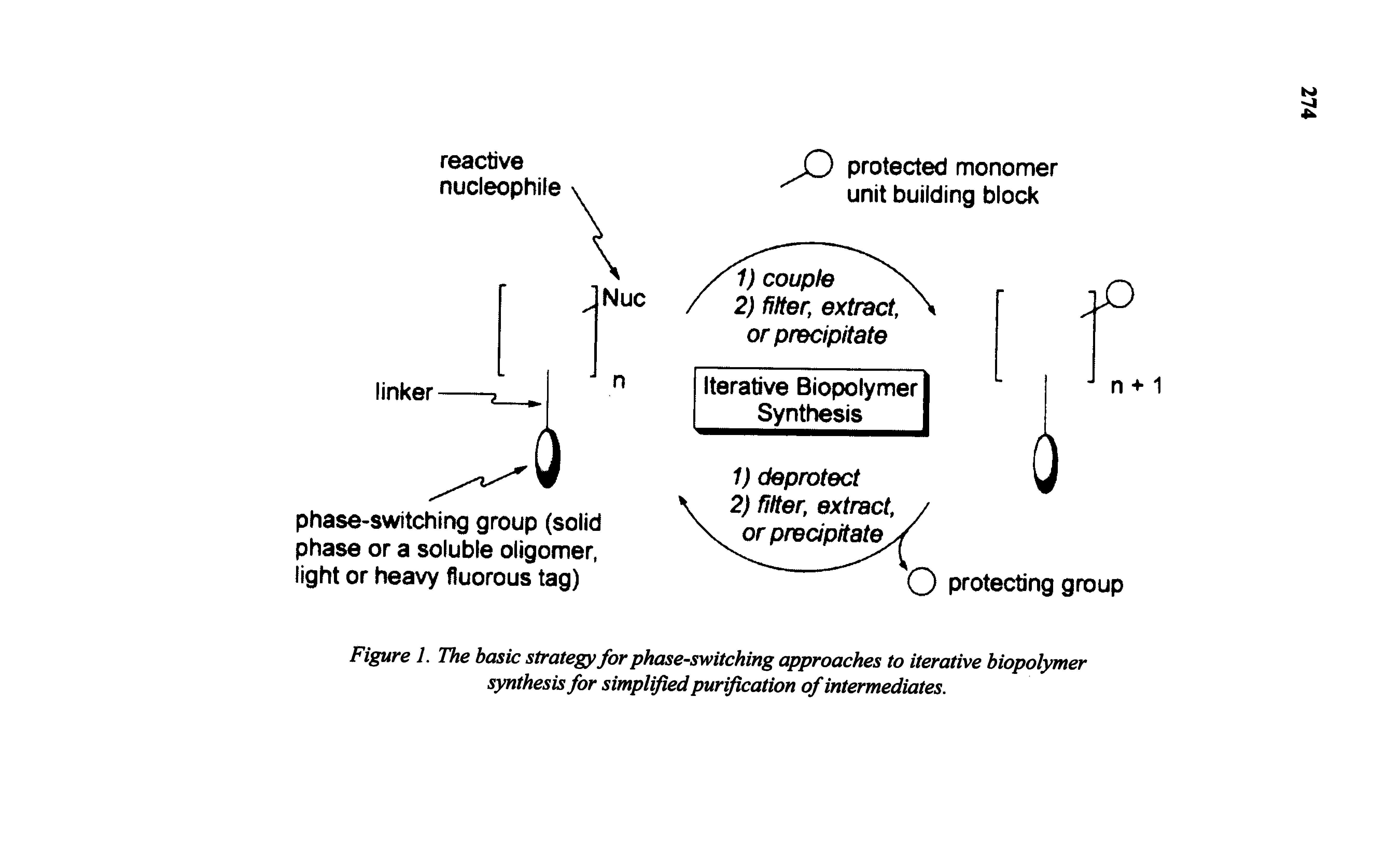 Figure 1. The basic strategy for phase-switching approaches to iterative biopolymer synthesis for simplified purification of intermediates.