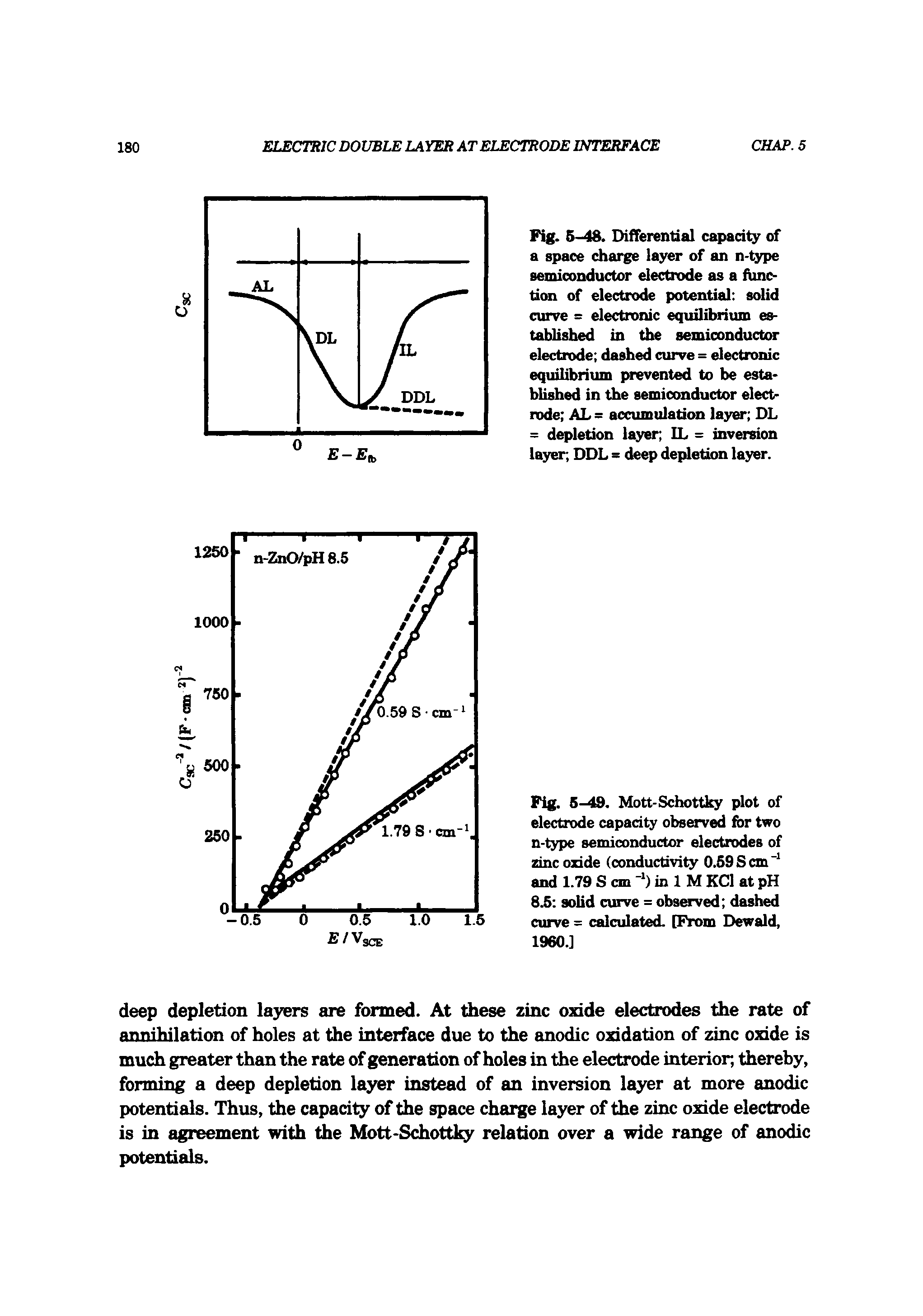 Fig. 5-49. Mott-Schottky plot of electrode capacity observed for two n-type semiconductor electrodes of zinc oxide (conductivity 0.59 S cm and 1.79 S cm in 1 M KCl at pH 8.5 solid curve = observed dashed curve = calculated. [From Dewald, I960.]...