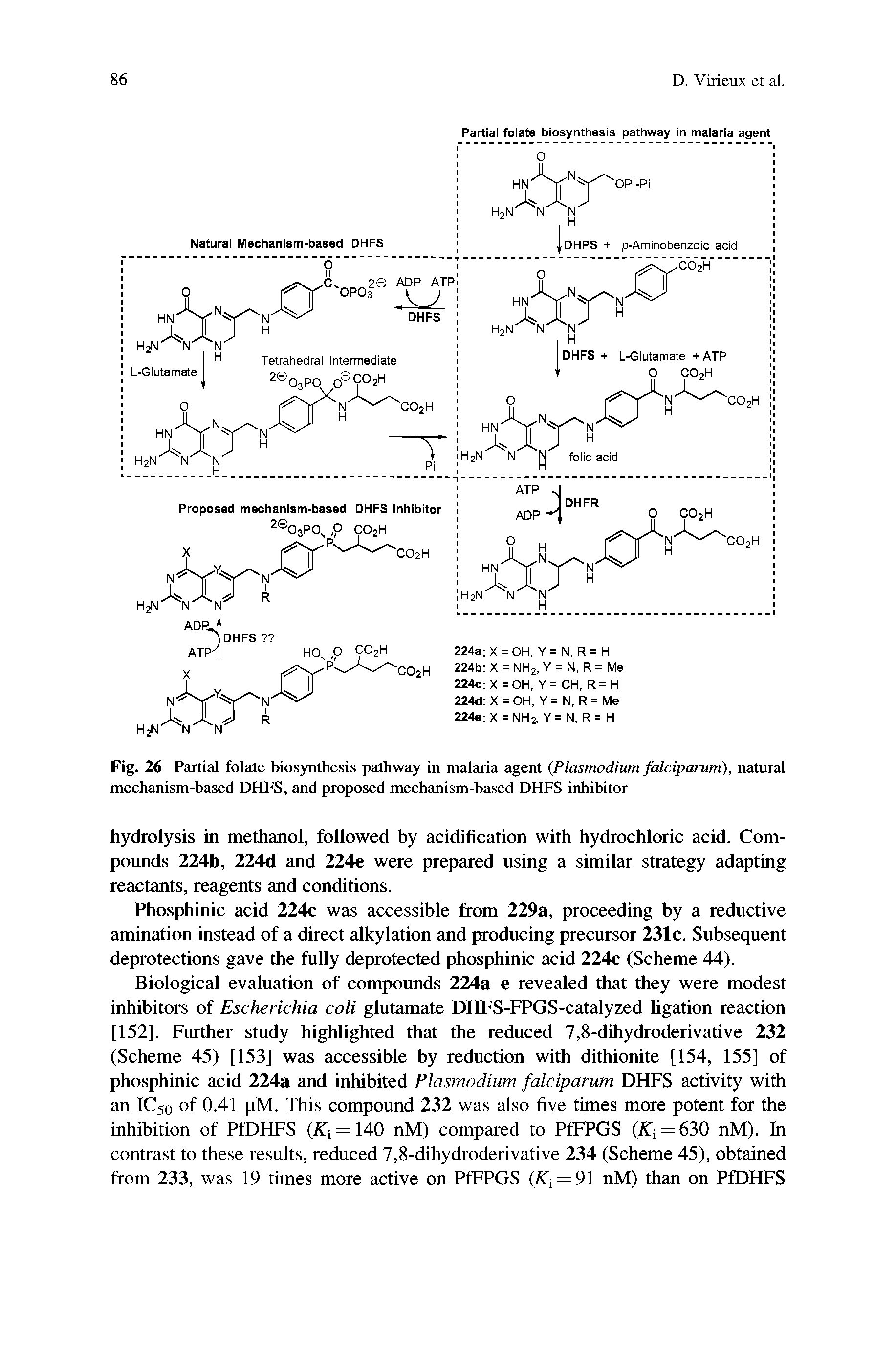 Fig. 26 Partial folate biosynthesis pathway in malaria agent Plasmodium falciparum), natural mechanism-based DHFS, and proposed mechanism-based DHFS inhibitor...