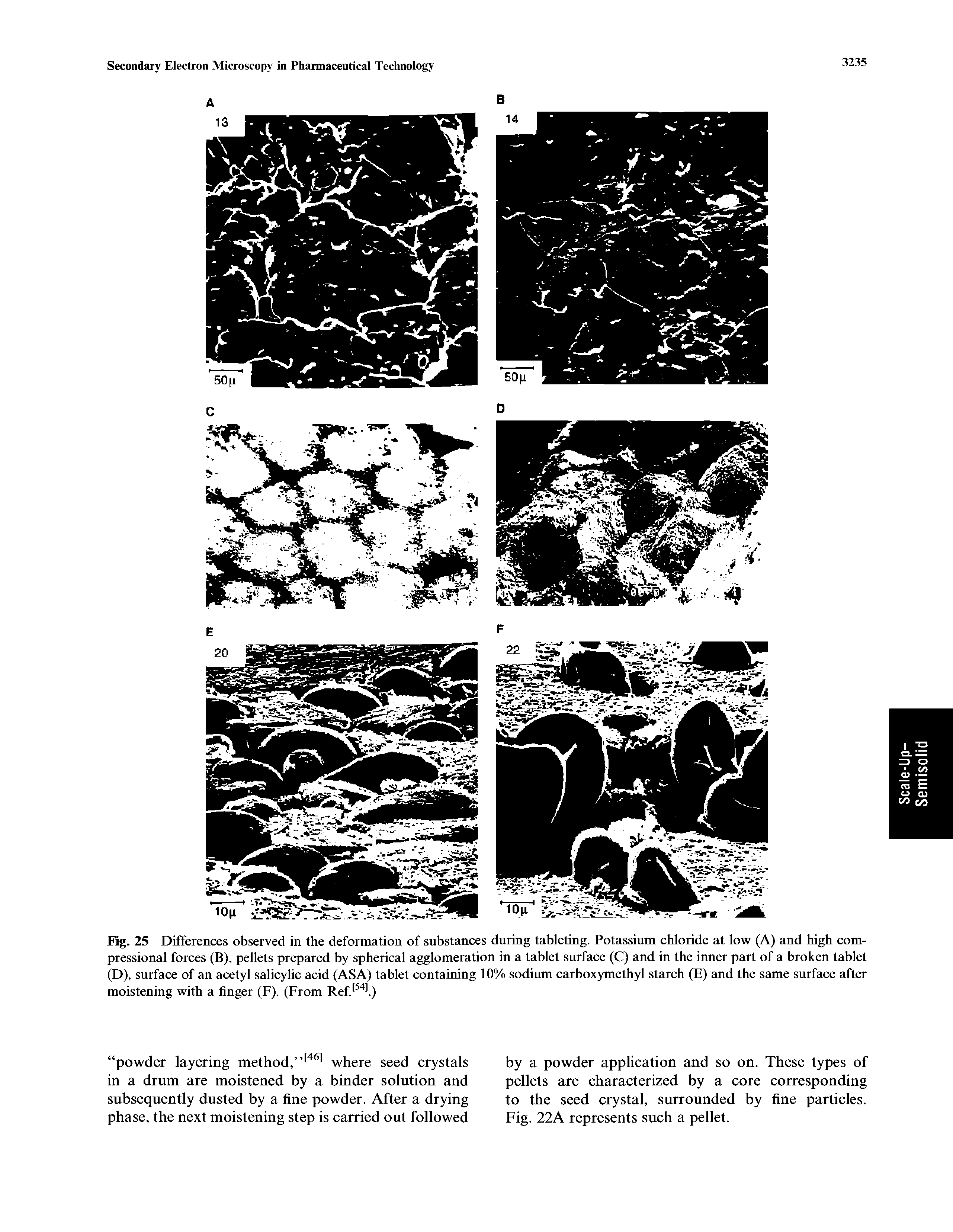 Fig. 25 Differences observed in the deformation of substances during tableting. Potassium chloride at low (A) and high com-pressional forces (B), pellets prepared by spherical agglomeration in a tablet surface (C) and in the inner part of a broken tablet (D), surface of an acetyl salicylic acid (ASA) tablet containing 10% sodium carbox5methyl starch (E) and the same surface after moistening with a finger (F). (From Ref...