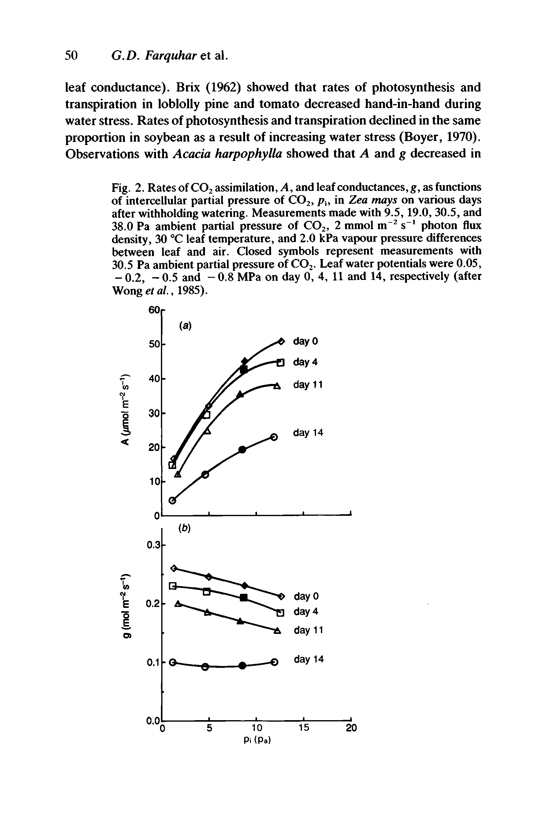 Fig. 2. Rates of CO2 assimilation,. 4, and leaf conductances, g, as functions of intercellular partial pressure of CO2, p in Zea mays on various days after withholding watering. Measurements made with 9.5,19.0,30.5, and 38.0 Pa ambient partial pressure of CO2, 2 mmol m" s" photon flux density, 30 °C leaf temperature, and 2.0 kPa vapour pressure differences between leaf and air. Closed symbols represent measurements with 30.5 Pa ambient partial pressure of COj. Leaf water potentials were 0.05, - 0.2, - 0.5 and - 0.8 MPa on day 0, 4, 11 and 14, respectively (after Wong et al., 1985).