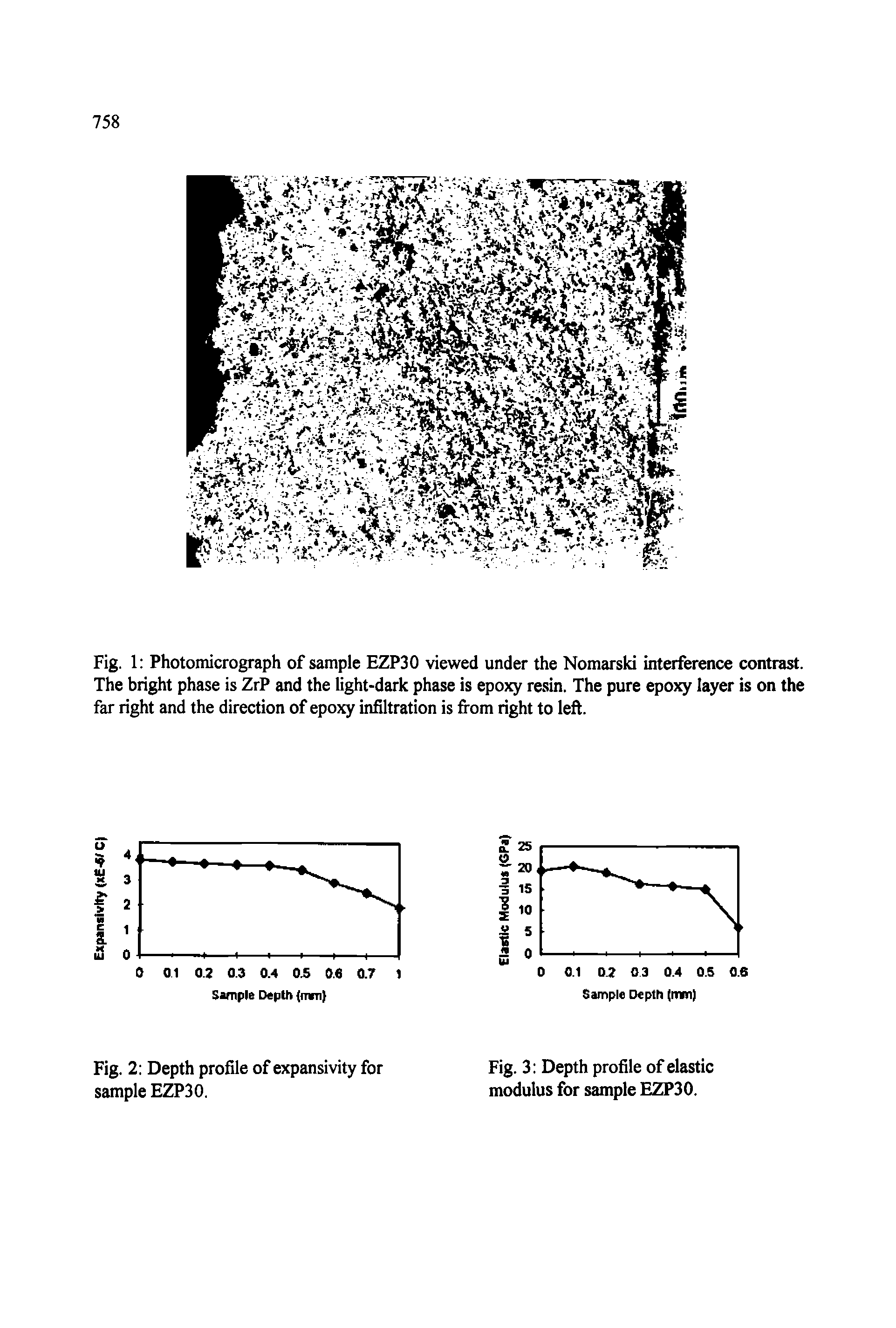 Fig. 1 Photomicrograph of sample EZP30 viewed under the Nomarski interference contrast. The bright phase is ZrP and the light-dark phase is epoxy resin. The pure epoxy layer is on the far right and the direction of epoxy infiltration is from right to left.