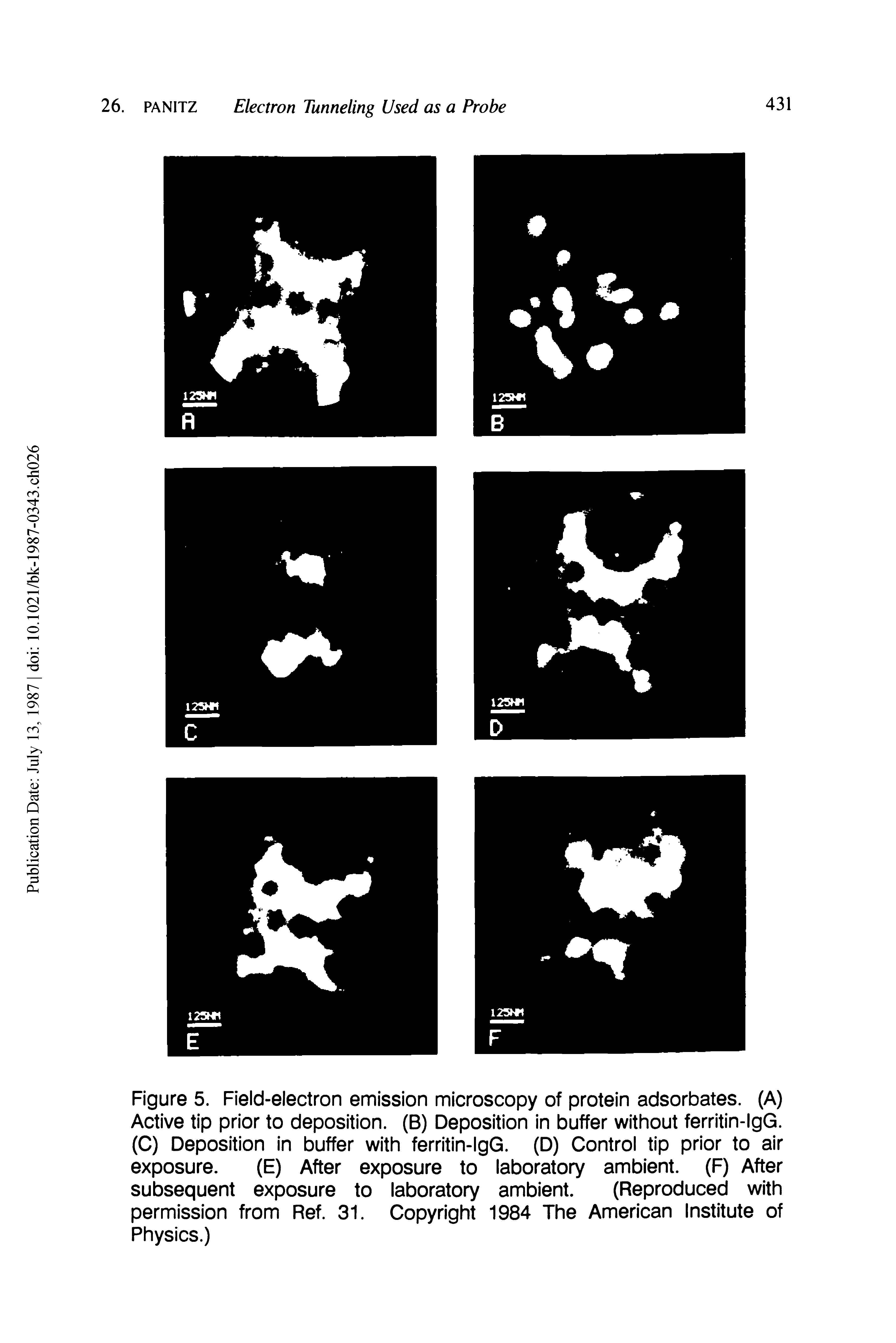 Figure 5. Field-electron emission microscopy of protein adsorbates. (A) Active tip prior to deposition. (B) Deposition in buffer without ferritin-IgG. (C) Deposition in buffer with ferritin-IgG. (D) Control tip prior to air exposure. (E) After exposure to laboratory ambient. (F) After...