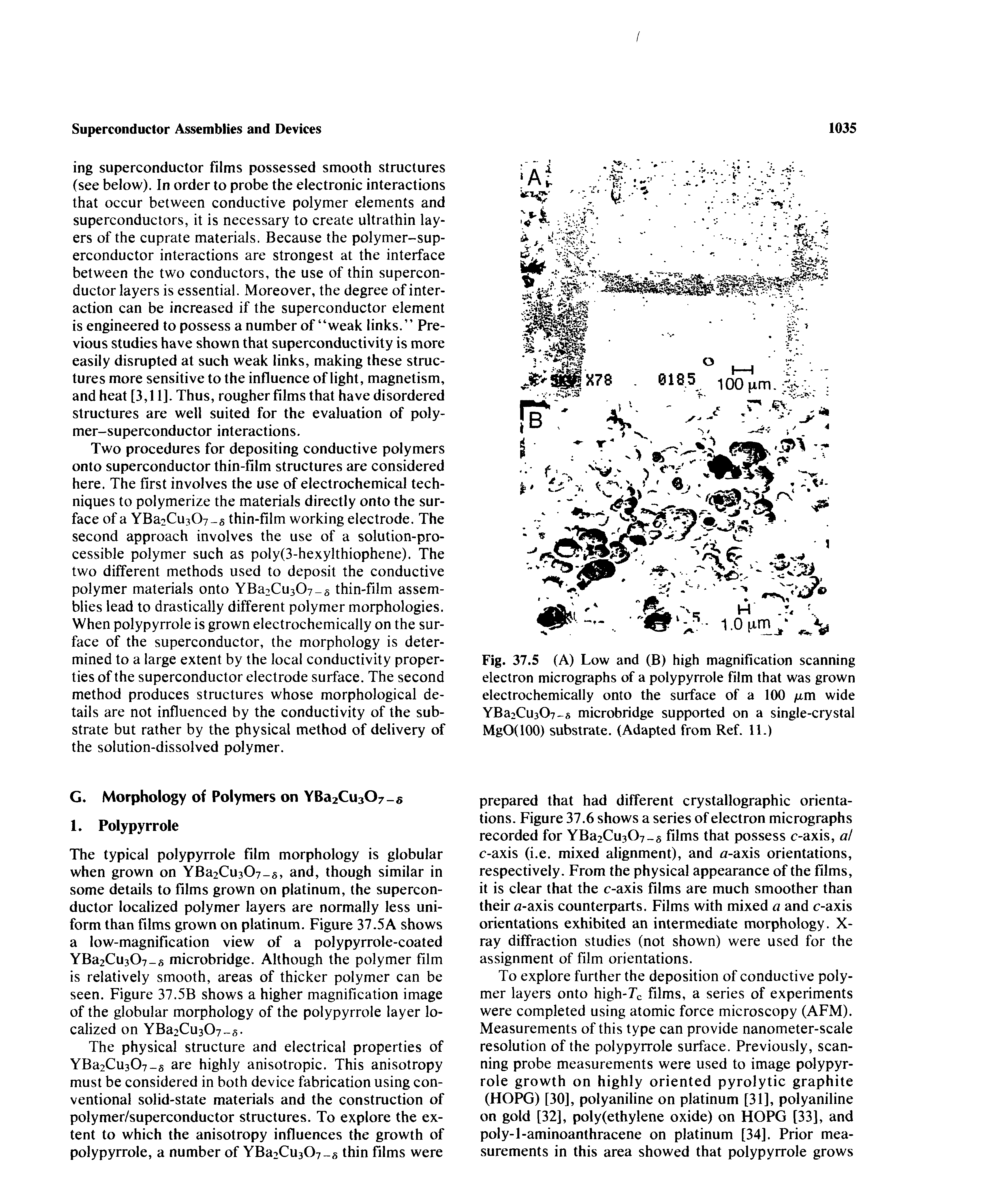 Fig. 37.5 (A) Low and (B) high magnification scanning electron micrographs of a polypyrrole film that was grown electrochemically onto the surface of a 100 pm wide YBa2Cu307- microbridge supported on a single-crystal MgO(lOO) substrate. (Adapted from Ref. 11.)...