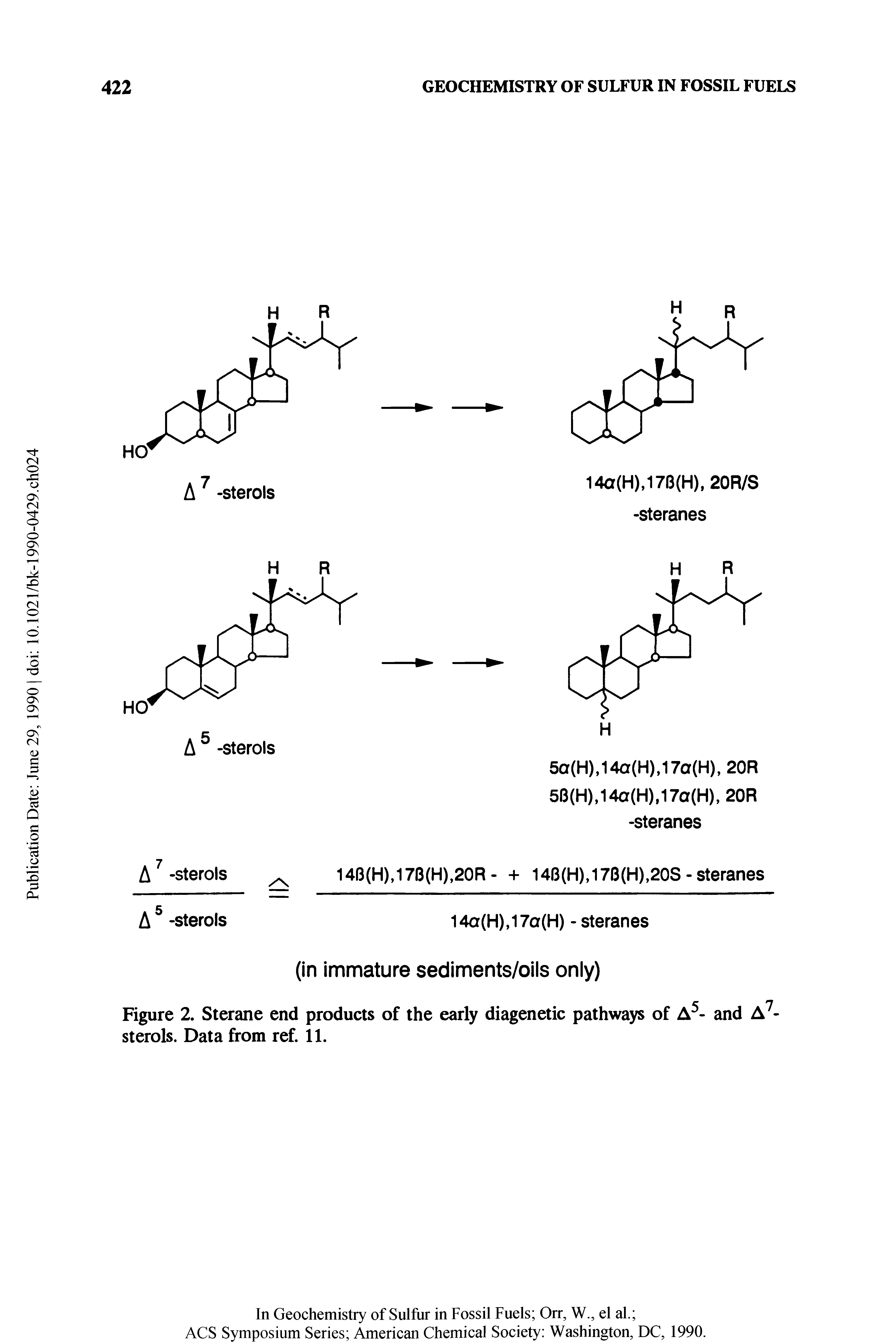 Figure 2. Sterane end products of the early diagenetic pathways of A5- and A7 sterols. Data from ref. 11.