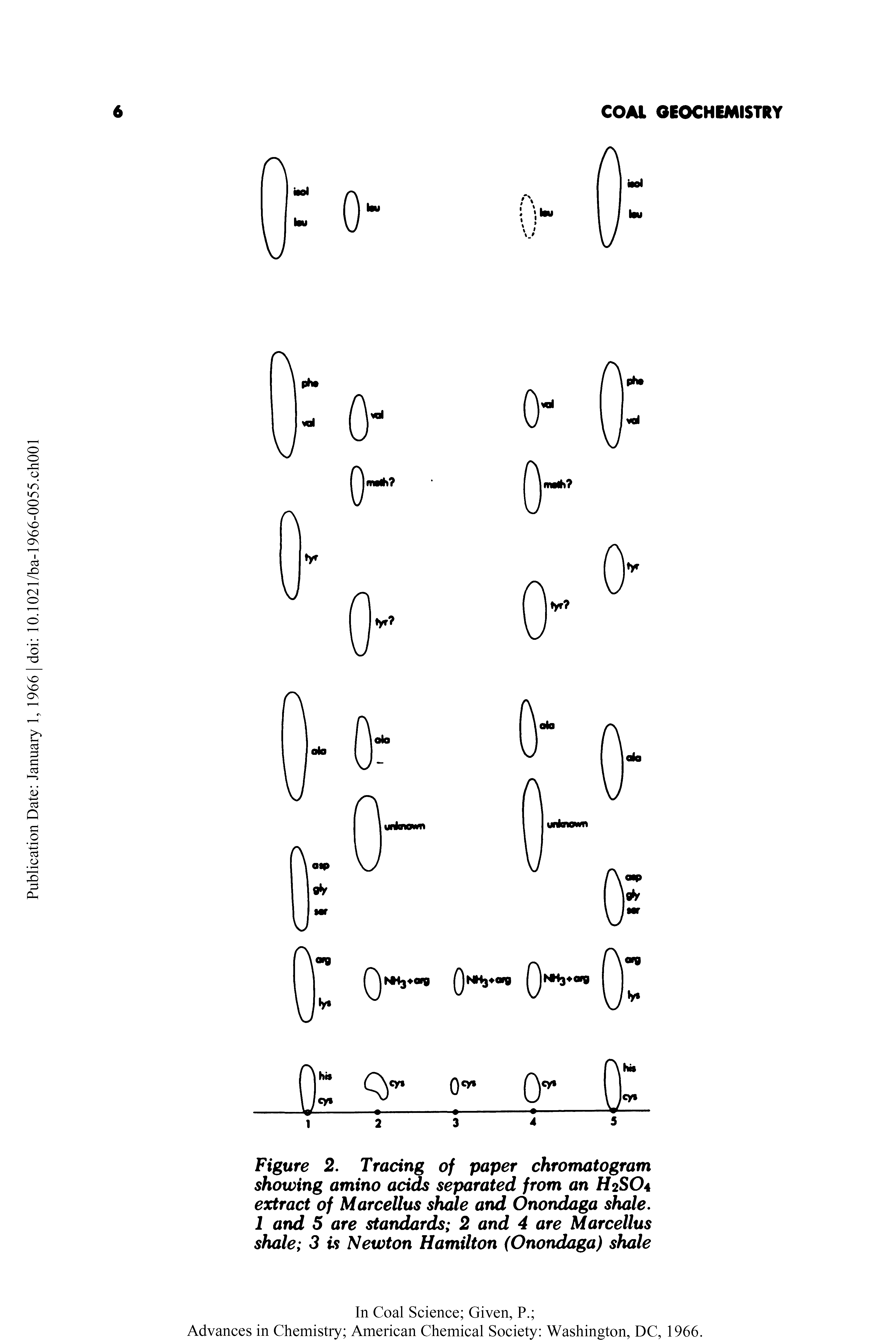 Figure 2. Tracing of paper chromatogram showing amino acids separated from an H2SO4 extract of MarceUus shale and Onondaga shale. 1 and 5 are standards 2 and 4 are Marcellus shale 3 is Newton Hamilton (Onondaga) shale...