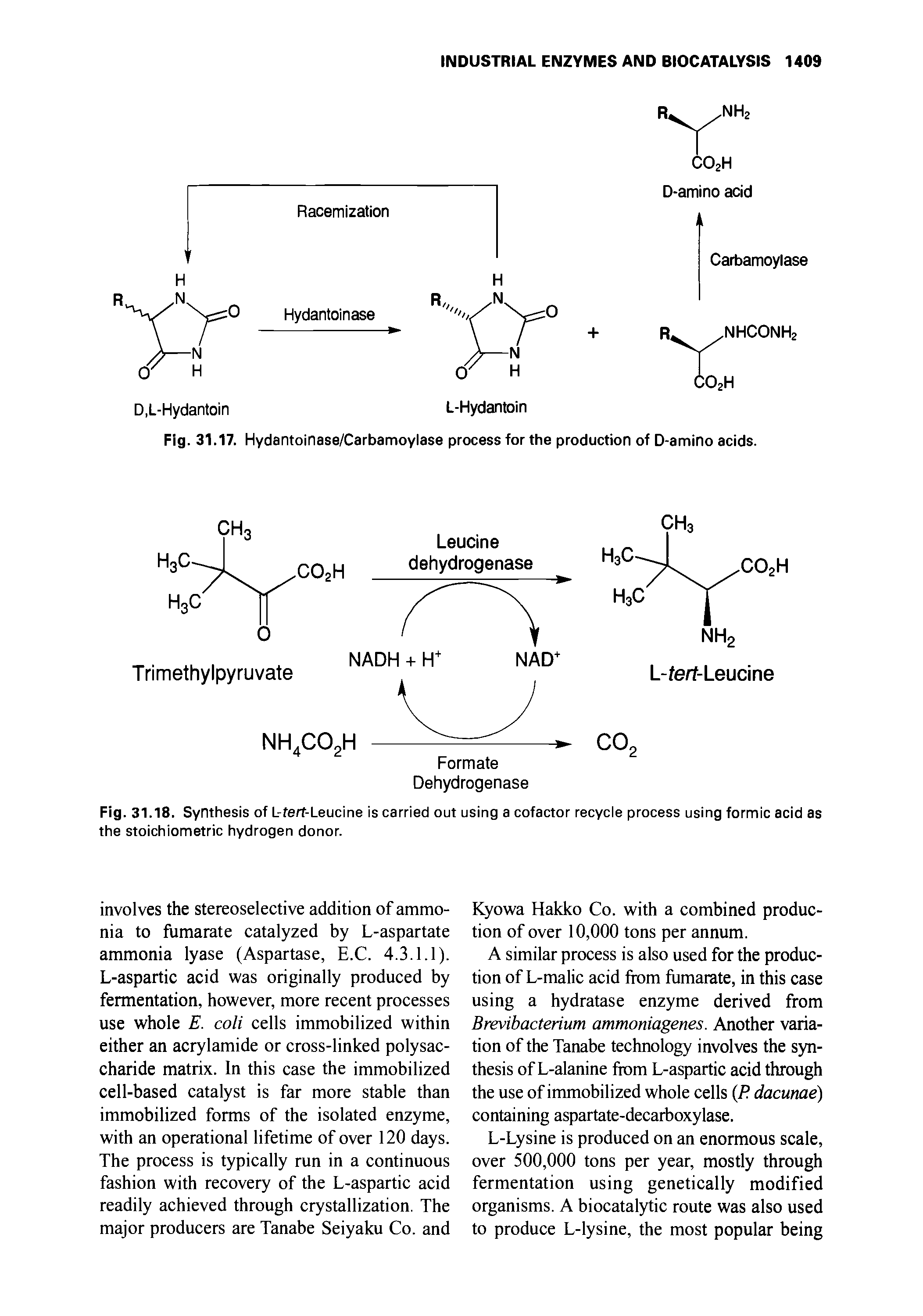 Fig. 31.17. Hydantoinase/Carbamoylase process for the production of D-amino acids.