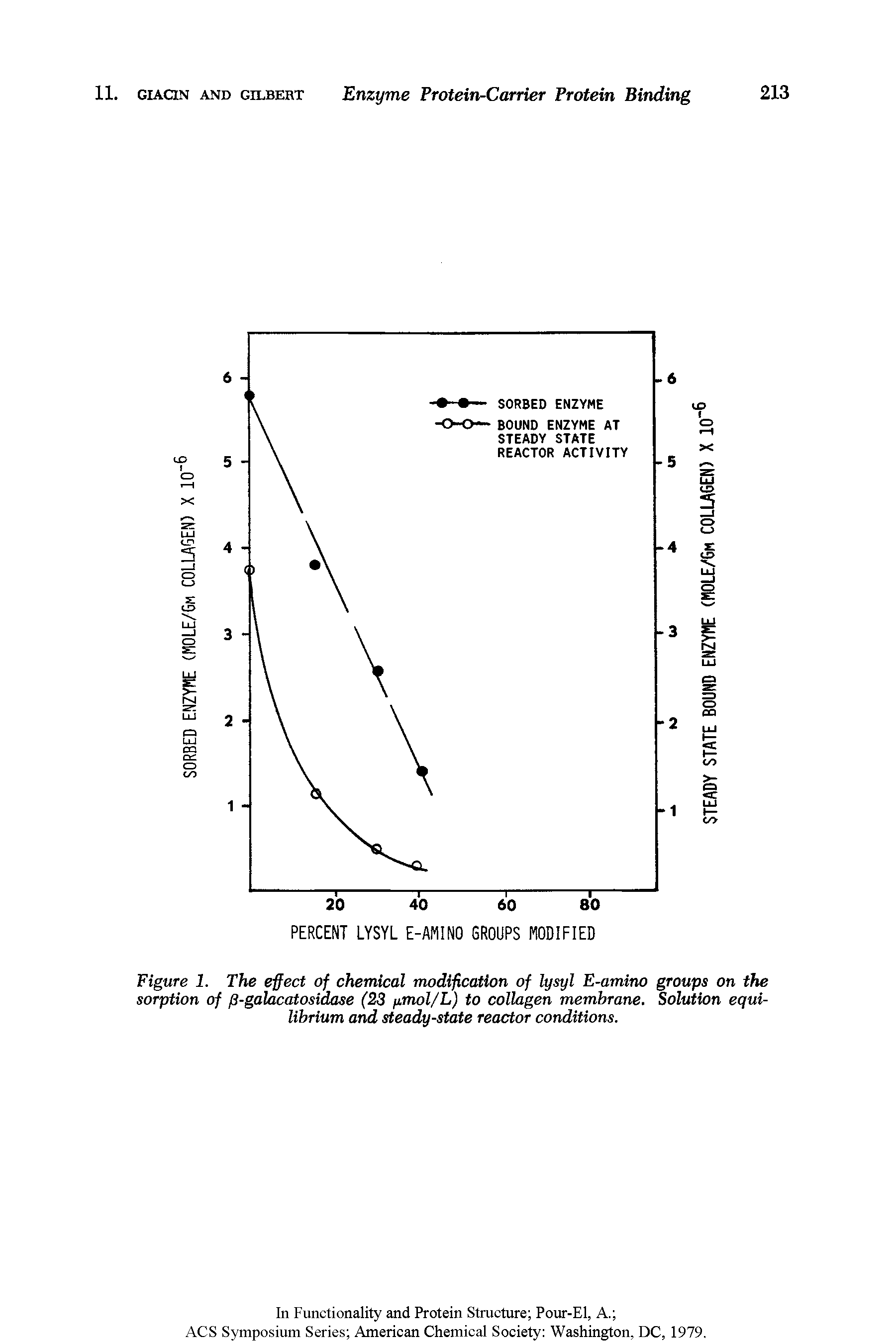 Figure 1. The effect of chemical modification of lysyl E-amino groups on the sorption of fi-galacatosidase (23 pmol/L) to collagen membrane. Solution equilibrium and steady-state reactor conditions.