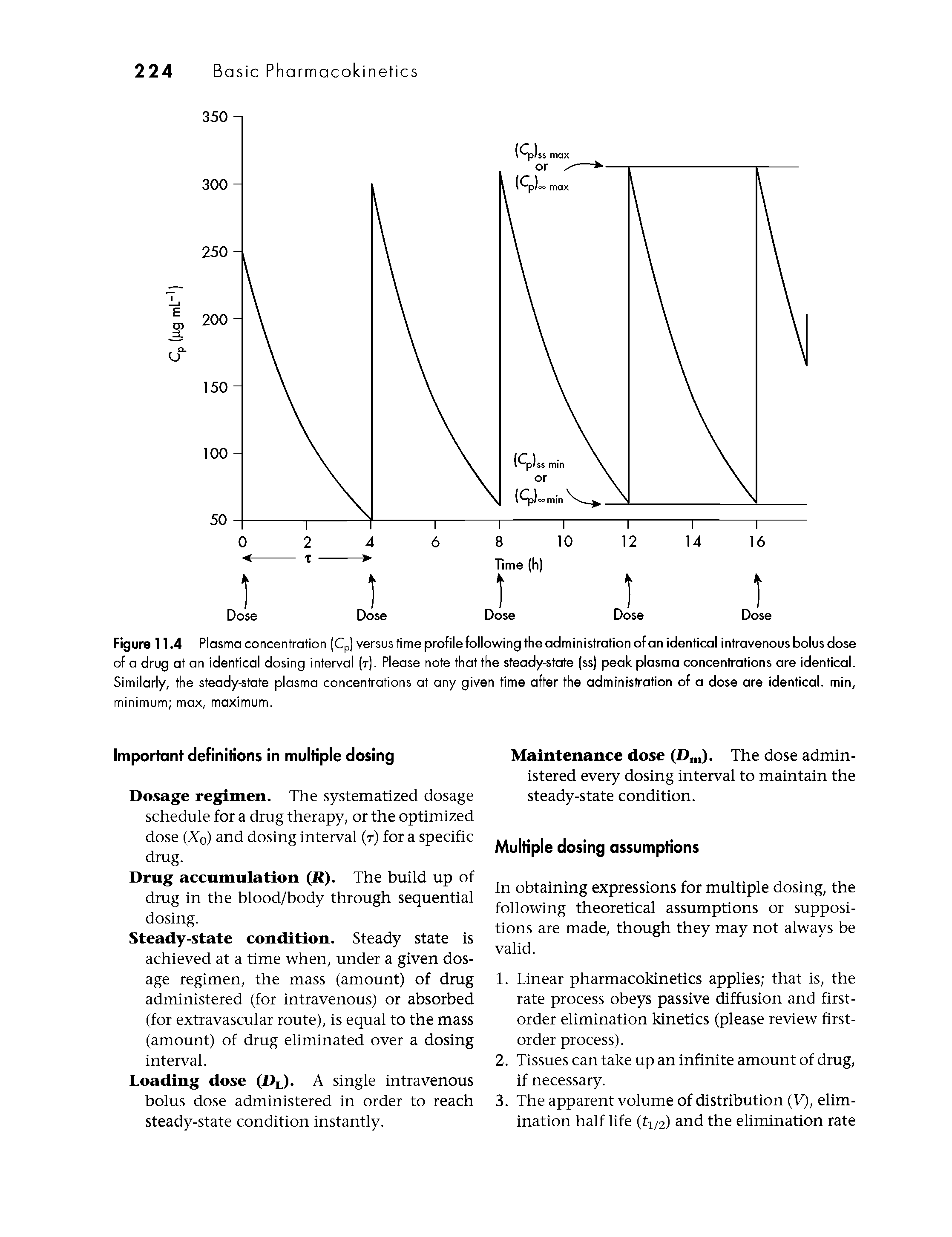 Figure 11.4 Plasma concentration (Cp) versus time profile following the administration of an identical intravenous bolus dose of a drug at an identical dosing interval (t). Please note that the steady-etate (ss) peak plasma concentrations are identical. Similarly, the steady-state plasma concentrations at any given time after the administration of a dose are identical, min, minimum max, maximum.