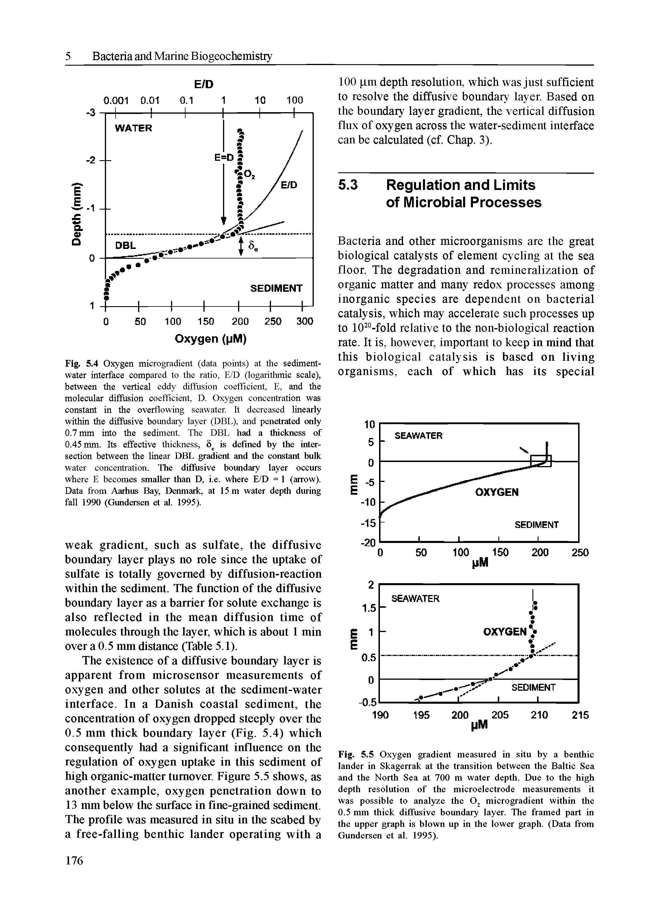 Fig. 5.4 Oxygen microgradient (data points) at the sediment-water interface compared to the ratio, E/D (logarithmic scale), between the vertical eddy diffusion coefficient, E, and the molecular diffusion coefficient, D. Oxygen concentration was constant in the overflowing seawater. It decreased linearly within the diffusive boundary layer (DEL), and penetrated only 0.7 mm into the sediment. The DEL had a diickness of 0.45 mm. Its effective thickness, 8 is defined by the intersection between the linear DEL gradient and die constant bulk water concentration. The diffusive boundary layer occurs where E becomes smaller than D, i.e. where E/D = 1 (arrow). Data from Aarhus Eay, Denmark, at 15 m water depth during fall 1990 (Gundersen et al. 1995).