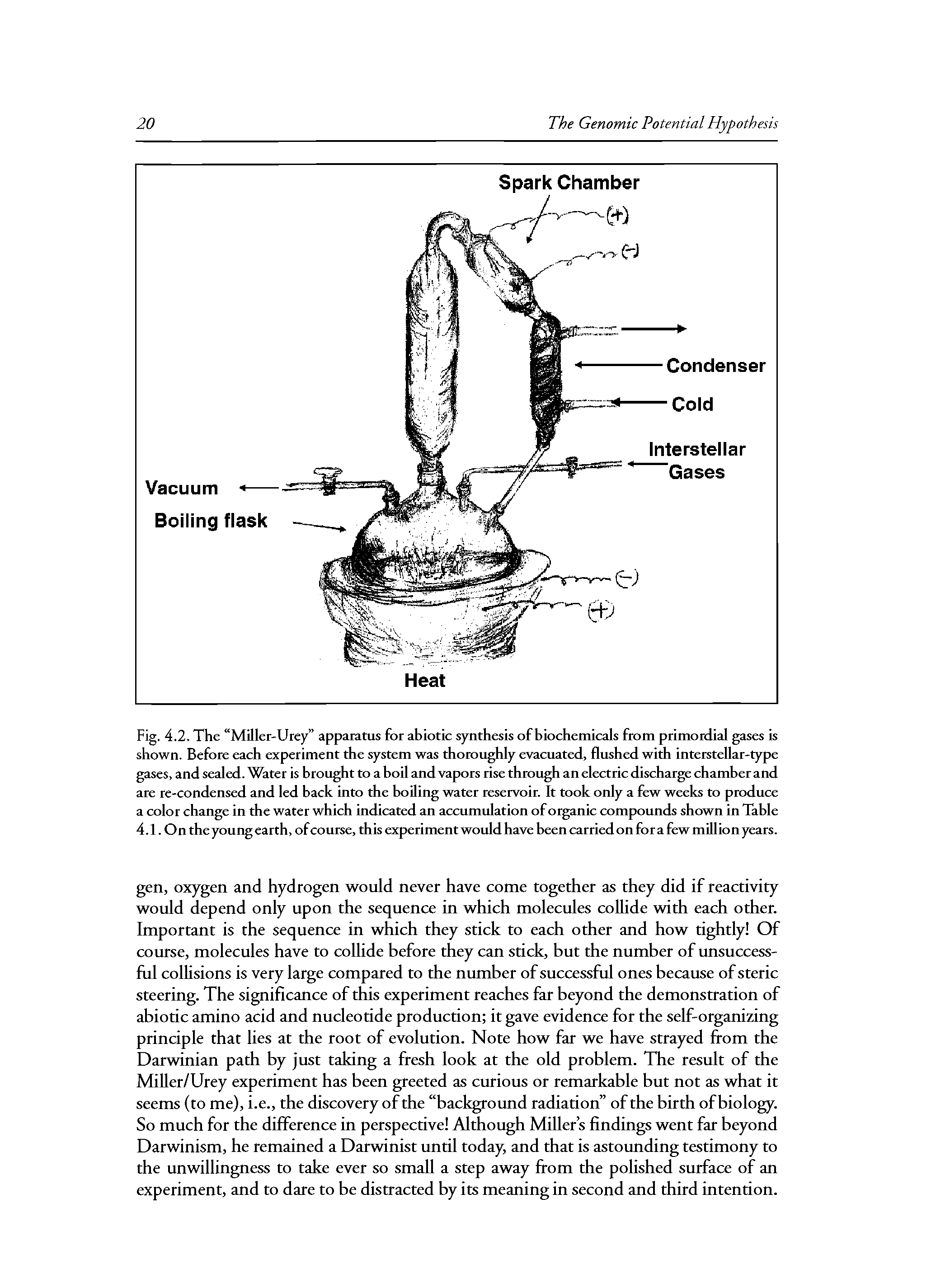 Fig. 4.2. The Miller-Urey apparatus for abiotic synthesis of biochemicals from primordial gases is shown. Before each experiment the system was thoroughly evacuated, flushed with interstellar-type gases, and sealed. Water is brought to a boil and vapors rise through an electric discharge chamber and are re-condensed and led back into the boiling water reservoir. It took only a few weeks to produce a color change in the water which indicated an accumulation of organic compounds shown in Table 4.1. On the young earth, of course, this experiment would have been carried on for a few million years.