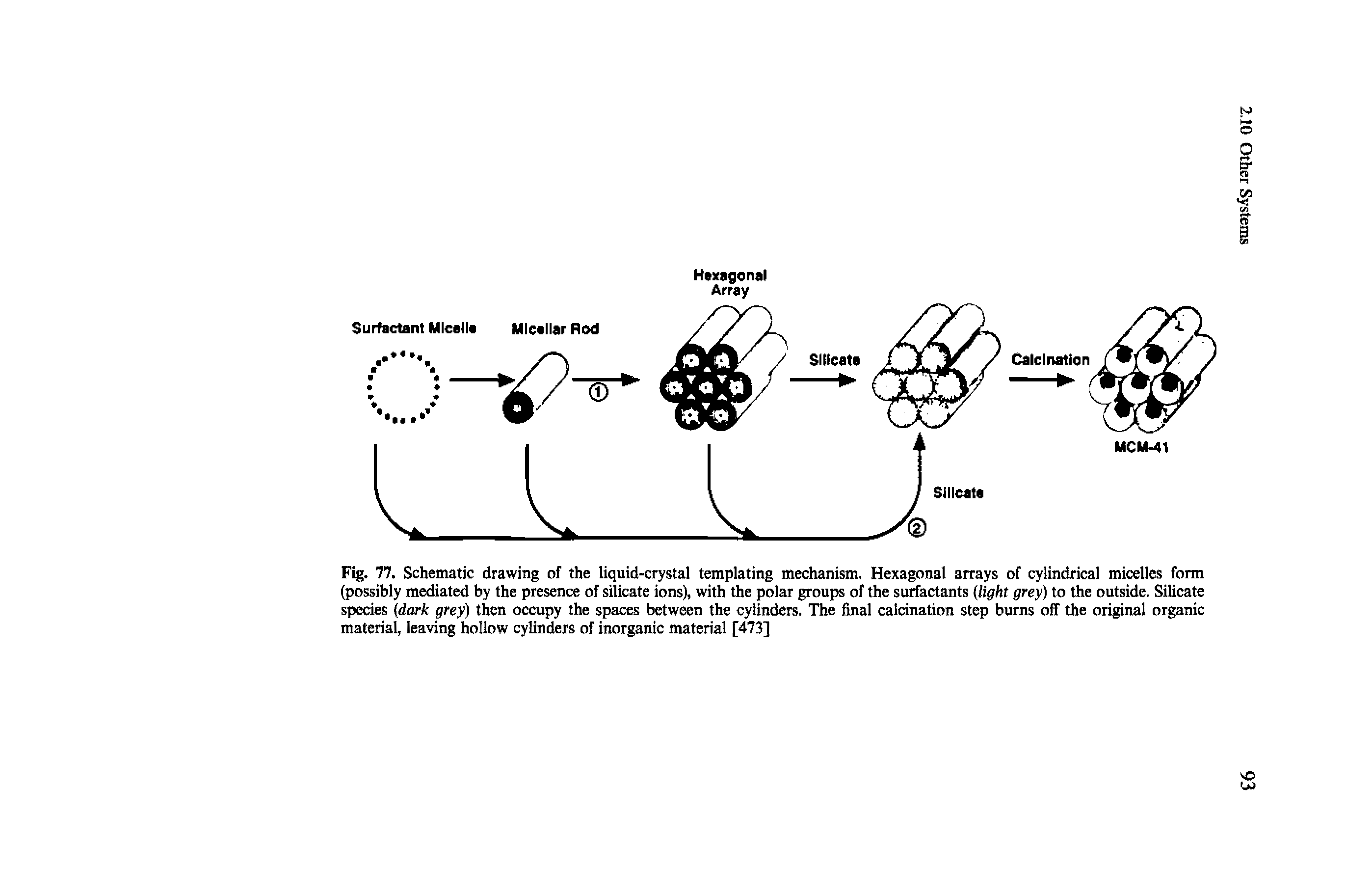 Fig. 77. Schematic drawing of the liquid-crystal templating mechanism. Hexagonal arrays of cylindrical micelles form (possibly mediated by the presence of silicate ions), with the polar groups of the surfactants (light grey) to the outside. Silicate species (dark grey) then occupy the spaces between the cylinders. The final calcination step burns off the original organic material, leaving hollow cylinders of inorganic material [473]...