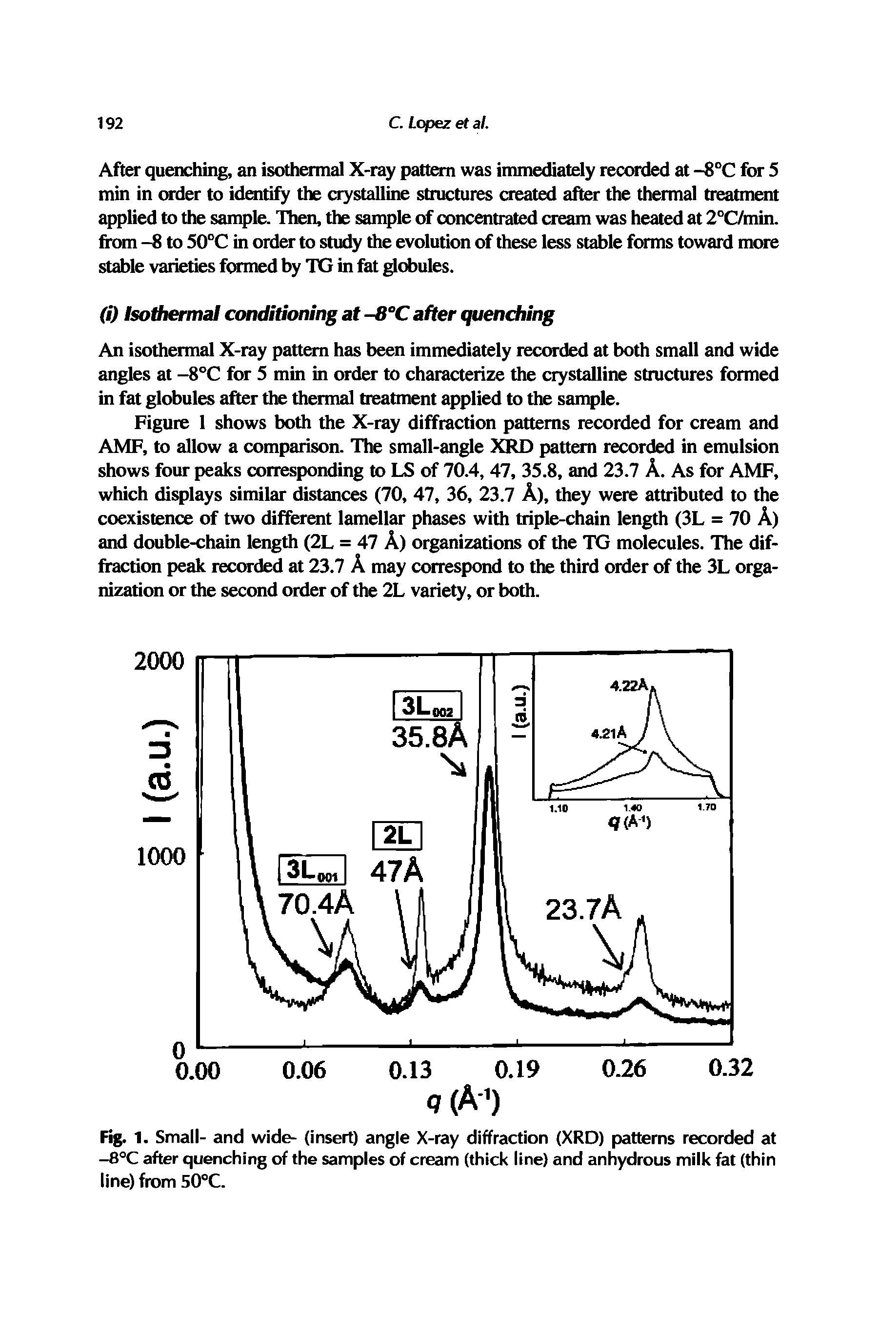 Fig.1. Small- and wide- (insert) angle X-ray diffraction (XRD) patterns recorded at -8°C after quenching of the samples of cream (thick line) and anhydrous milk fat (thin line) from 50°C.