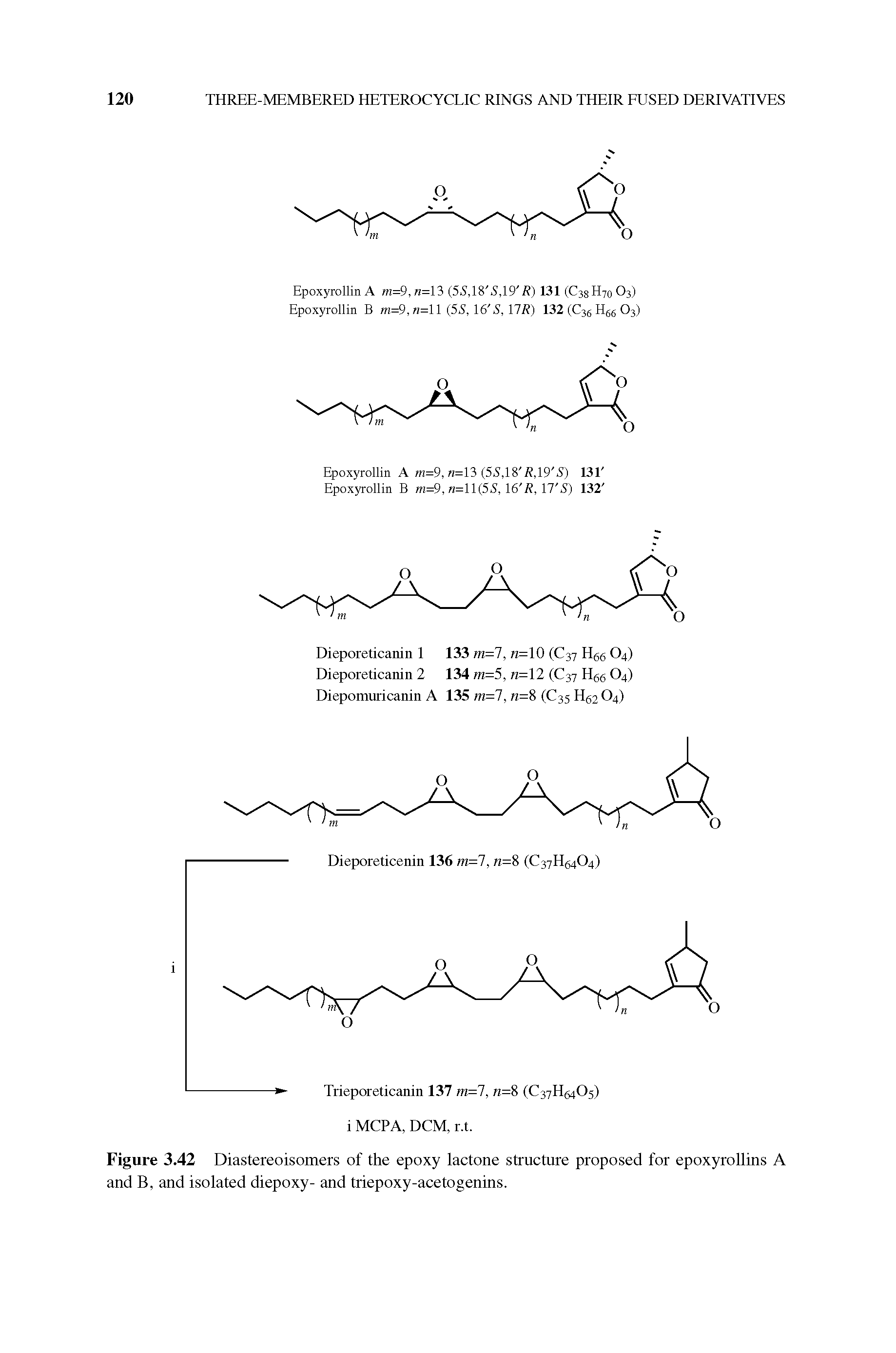 Figure 3.42 Diastereoisomers of the epoxy lactone structure proposed for epoxyrollins A and B, and isolated diepoxy- and triepoxy-acetogenins.