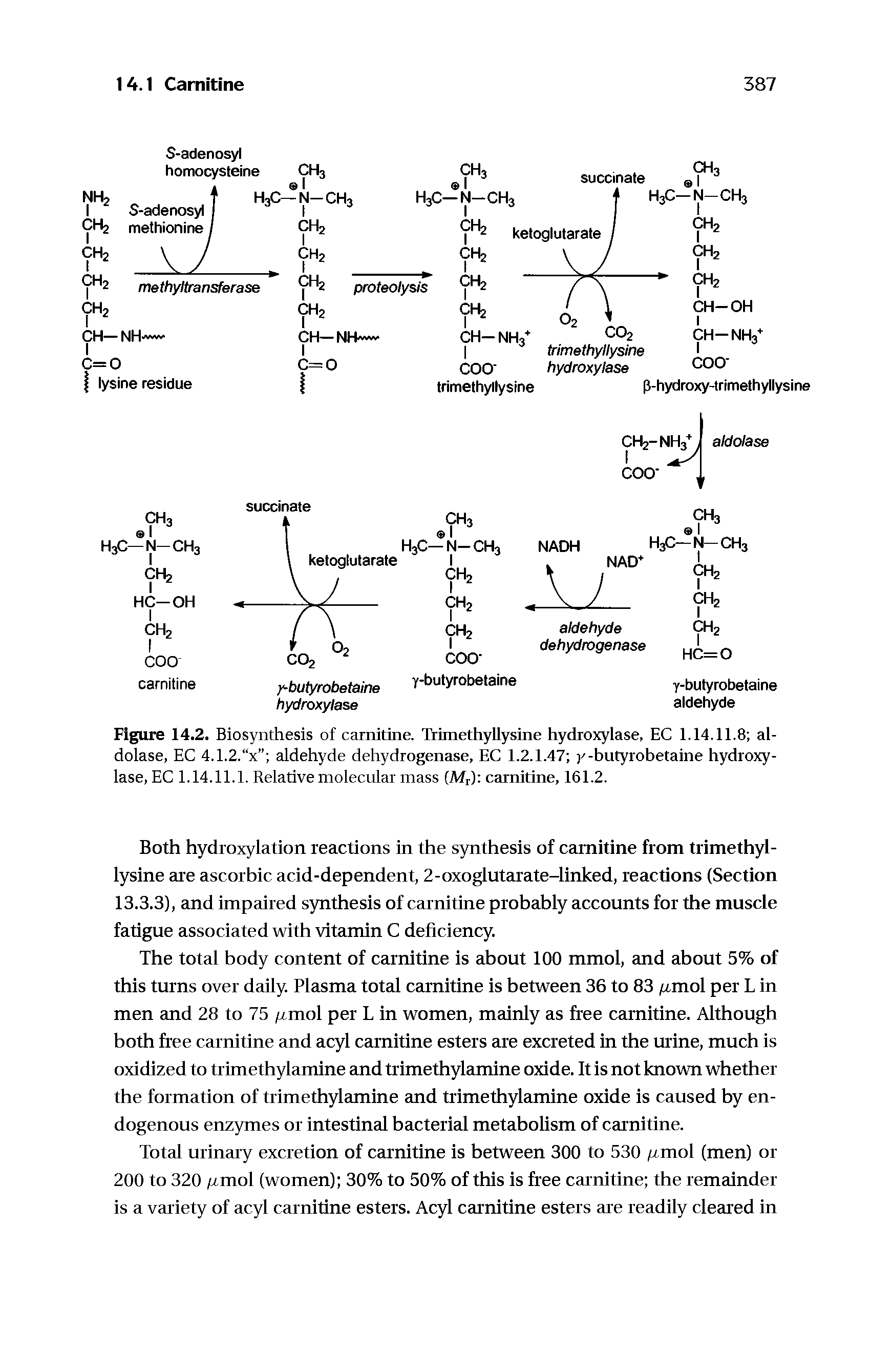 Figure 14.2. Biosynthesis of carnitine. Trimethyllysine hydroxylase, EC 1.14.11.8 aldolase, EC 4.1.2. x aldehyde dehydrogenase, EC 1.2.1.47 y-butyrobetaine hydroxylase, EC 1.14.11.1. Relative molecular mass (Mr) carnitine, 161.2.