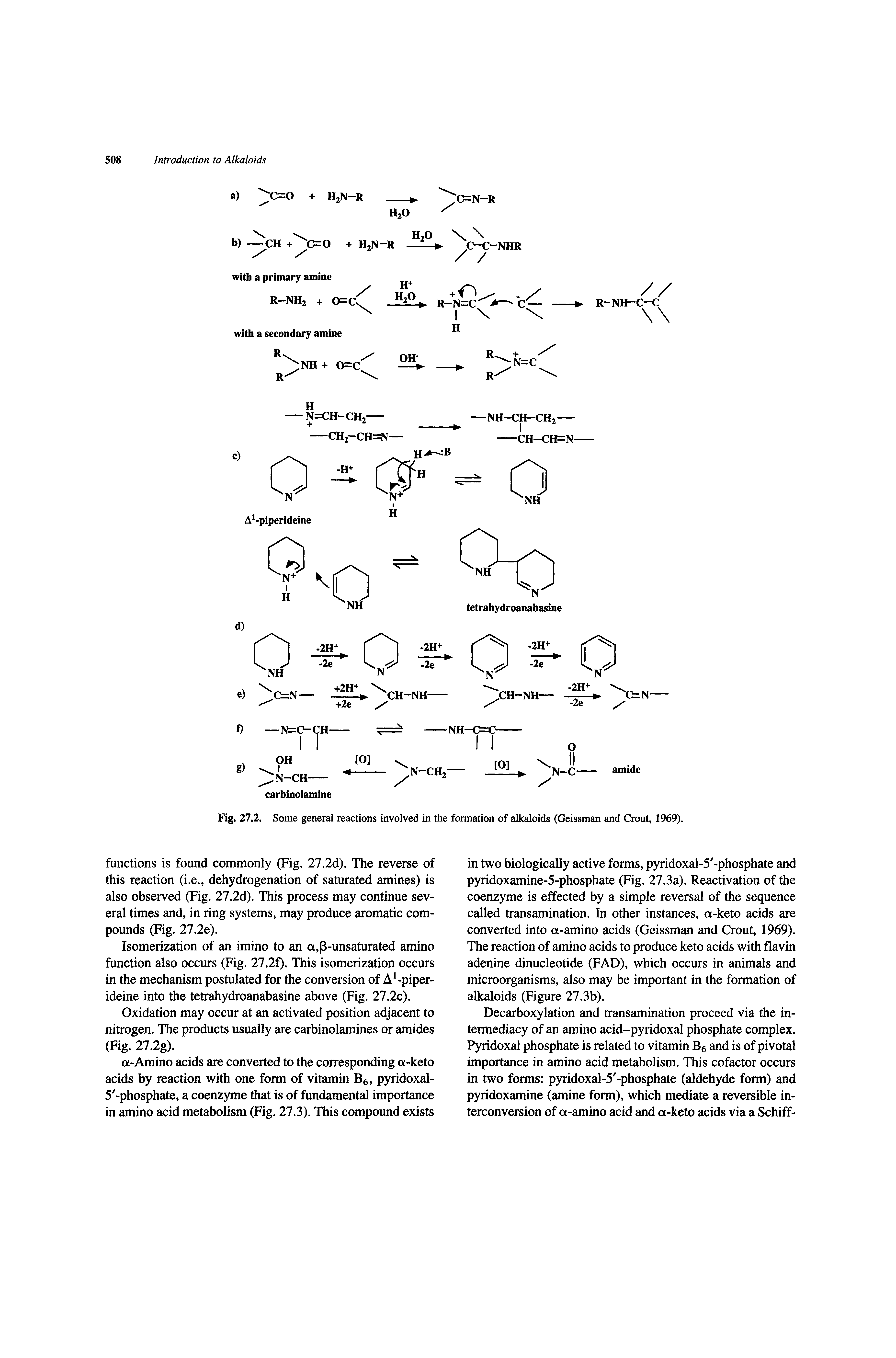 Fig. 27.2. Some general reactions involved in the formation of alkaloids (Geissman and Grout, 1969).