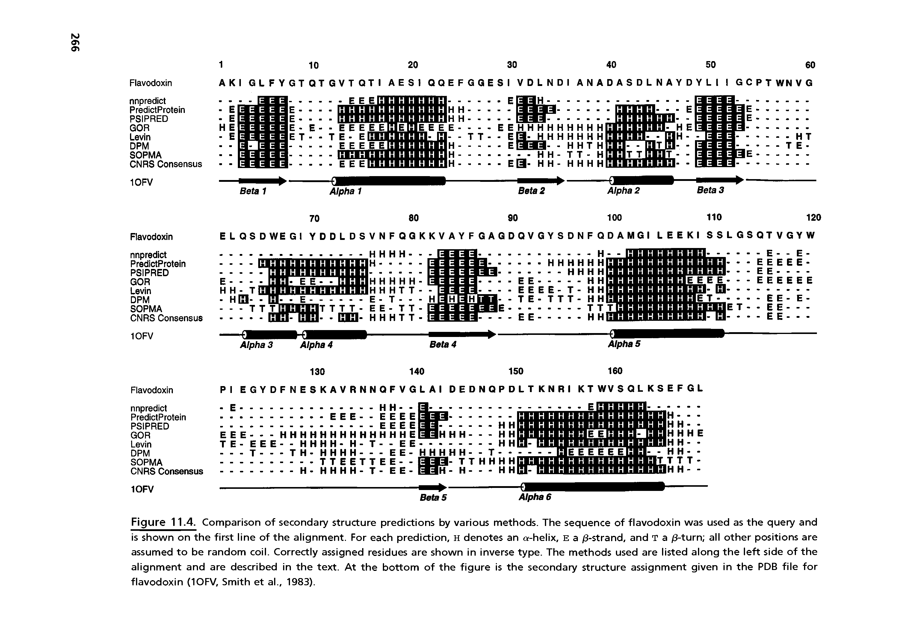 Figure 11.4. Comparison of secondary structure predictions by various methods. The sequence of flavodoxin was used as the query and is shown on the first line of the alignment. For each prediction, H denotes an a-helix, E a 3-strand, and T a 3-turn all other positions are assumed to be random coil. Correctly assigned residues are shown in inverse type. The methods used are listed along the left side of the alignment and are described in the text. At the bottom of the figure is the secondary structure assignment given in the PDB file for flavodoxin (10FV, Smith et al., 1983).