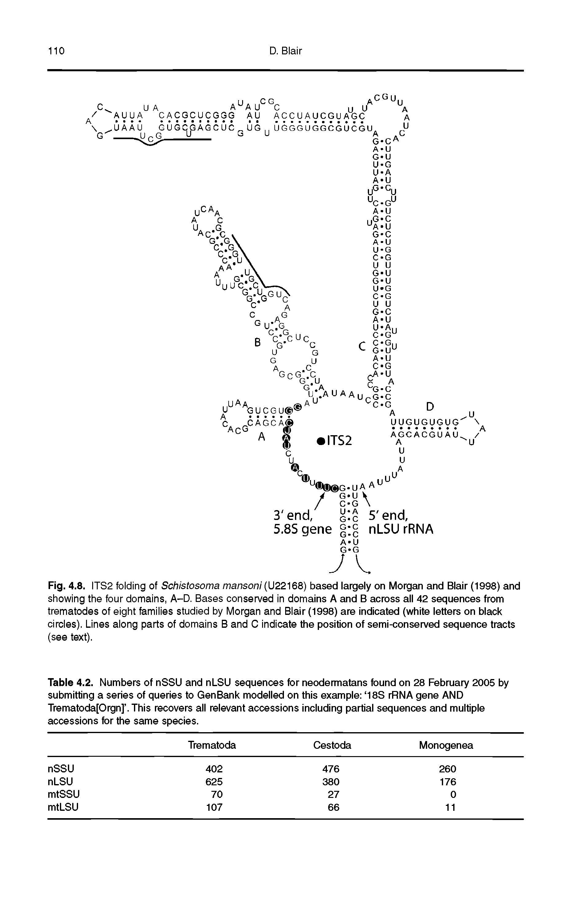 Fig. 4.8. ITS2 folding of Schistosoma mansoni (U22168) based largely on Morgan and Blair (1998) and showing the four domains, A-D. Bases conserved in domains A and B across all 42 sequences from trematodes of eight families studied by Morgan and Blair (1998) are indicated (white letters on black circles). Lines along parts of domains B and C indicate the position of semi-conserved sequence tracts (see text).