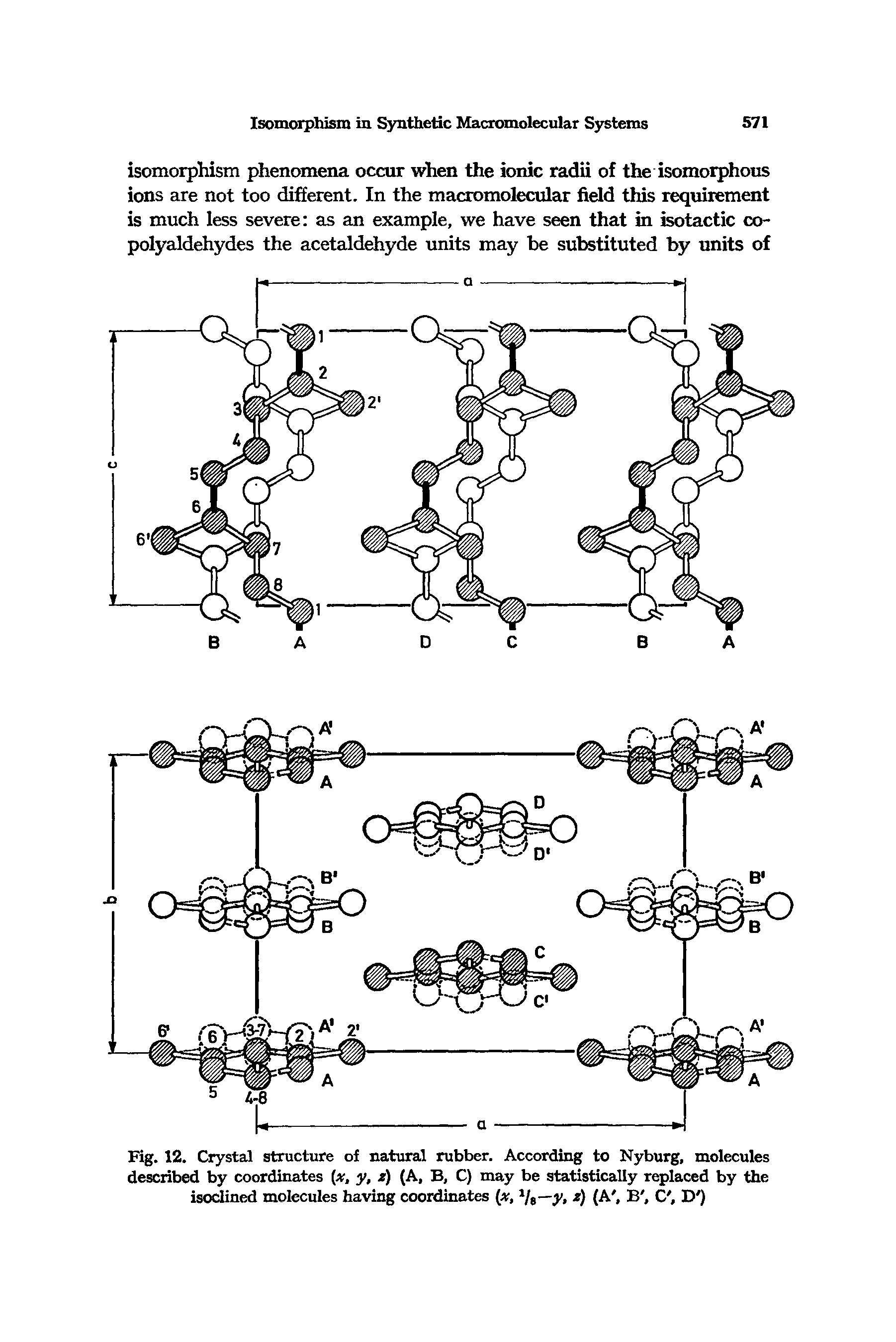 Fig. 12. Crystal structure of natural rubber. According to Nyburg, molecules described by coordinates (x, y, 2) (A, B, C) may be statistically replaced by the isoclined molecules having coordinates (x, Vs— y, ) (A, B, C, D )...