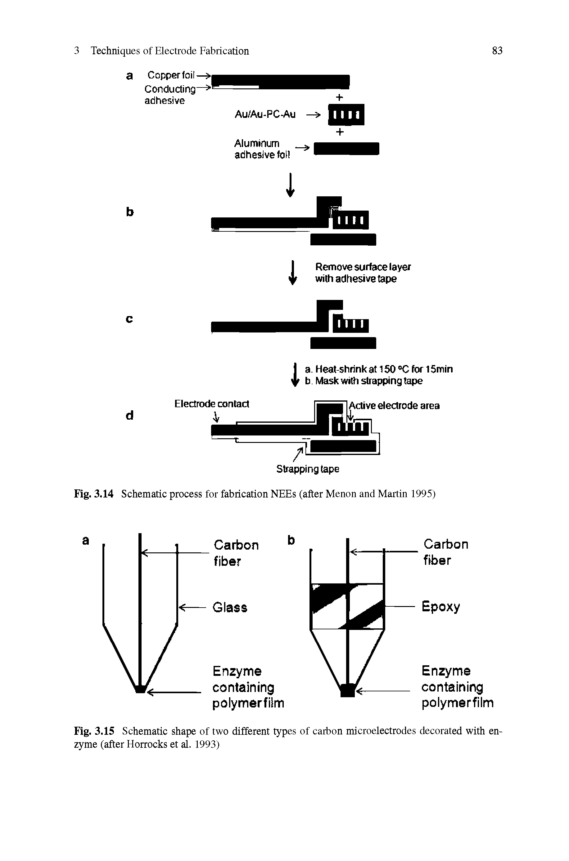Fig. 3.15 Schematic shape of two different types of carbon microelectrodes decorated with enzyme (after Horrocks et al. 1993)...