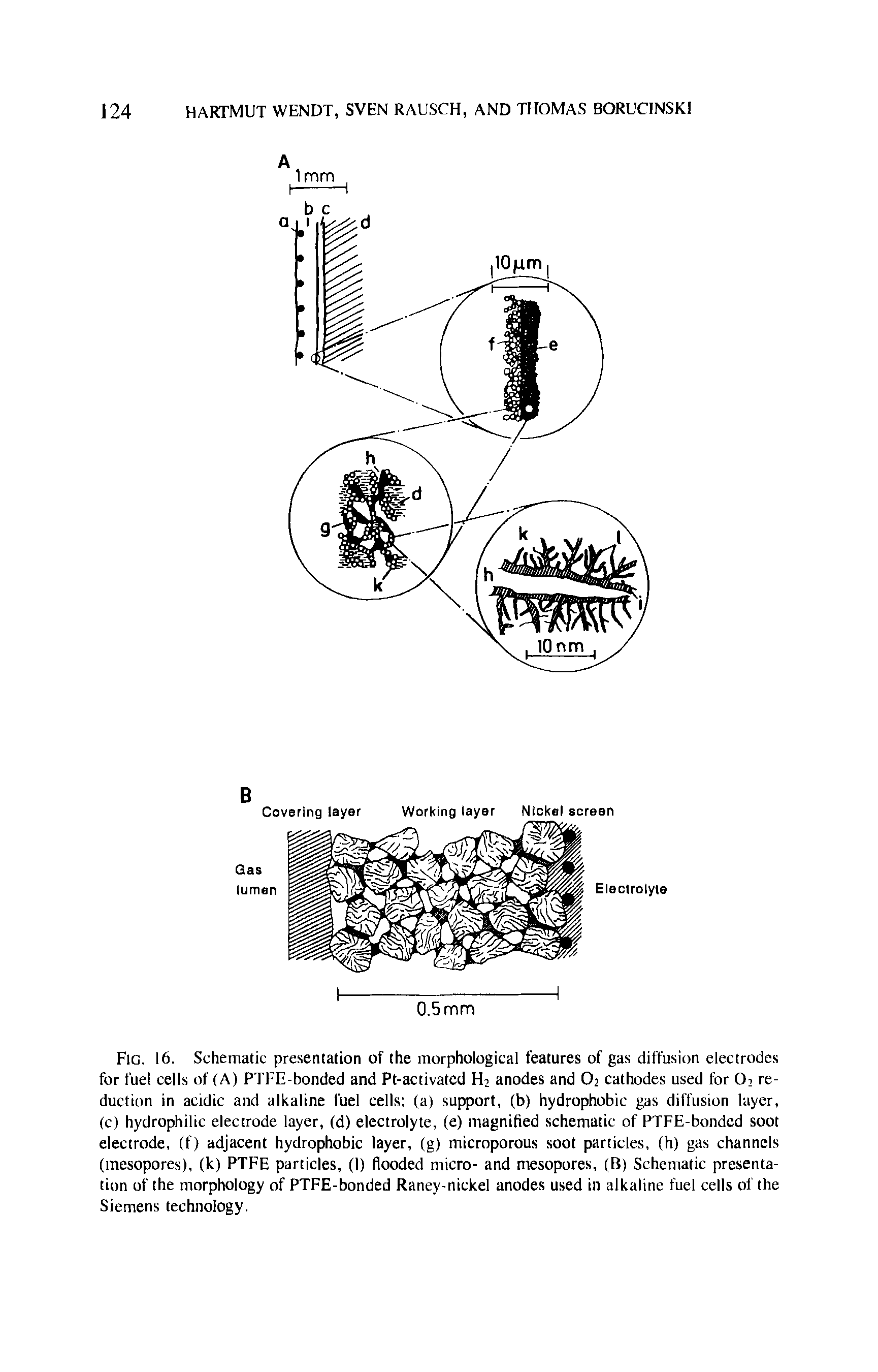 Fig. 16. Schematic presentation of the morphological features of gas diffusion electrodes for fuel cells of (A) PTFE-bonded and Pt-activatcd Hi anodes and O2 cathodes used for Oi reduction in acidic and alkaline fuel cells (a) support, (b) hydrophobic gas diffusion layer, (c) hydrophilic electrode layer, (d) electrolyte, (e) magnified schematic of PTFE-bonded soot electrode, (f) adjacent hydrophobic layer, (g) microporous soot particles, (h) gas channels (mesopores), (k) PTFE particles, (I) flooded micro- and mesopores, (B) Schematic presentation of the morphology of PTFE-bonded Raney-nickel anodes used in alkaline fuel cells ol the Siemens technology.