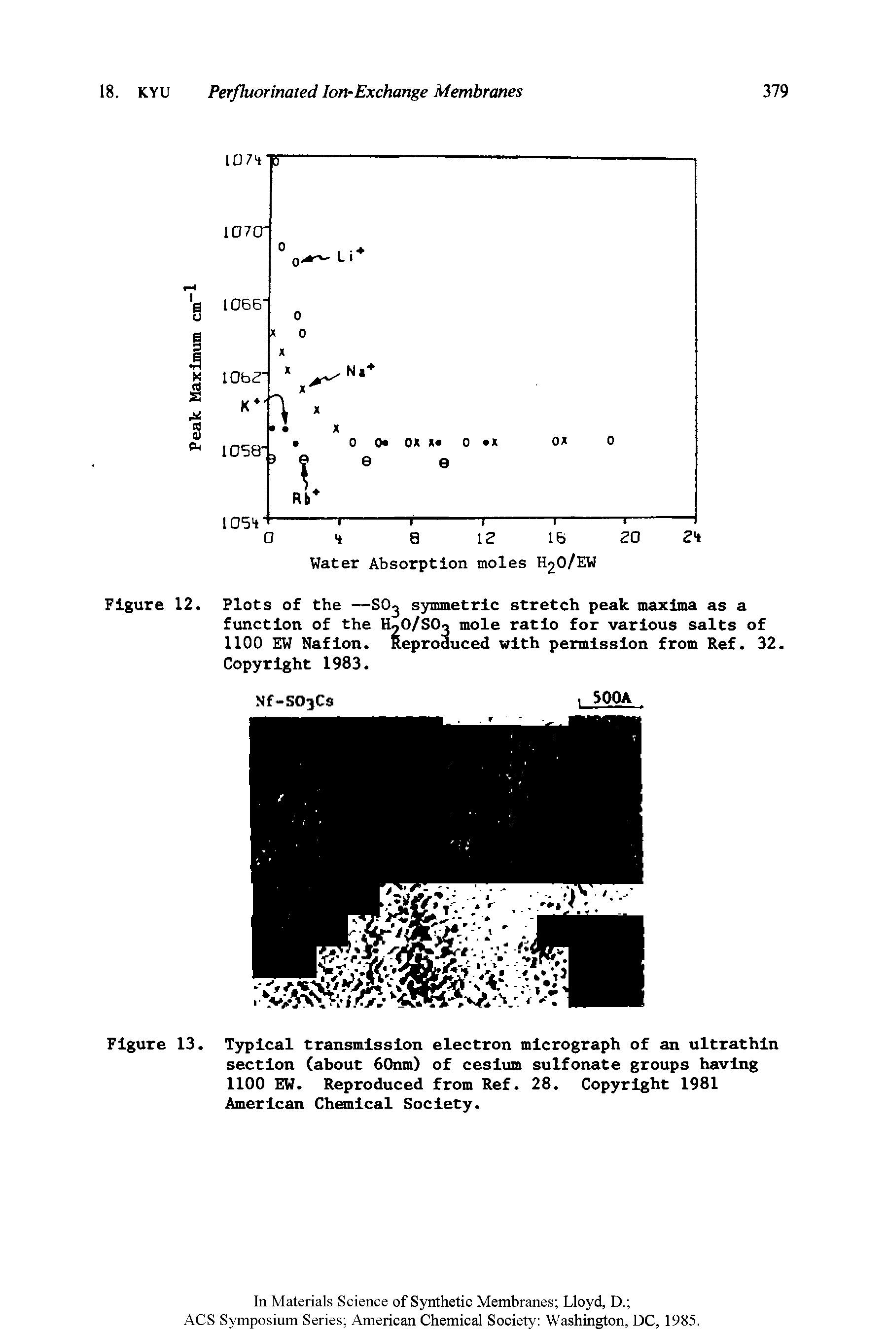 Figure 13. Typical transmission electron micrograph of an ultrathin section (about 60nm) of cesium sulfonate groups having 1100 EW. Reproduced from Ref. 28. Copyright 1981 American Chemical Society.
