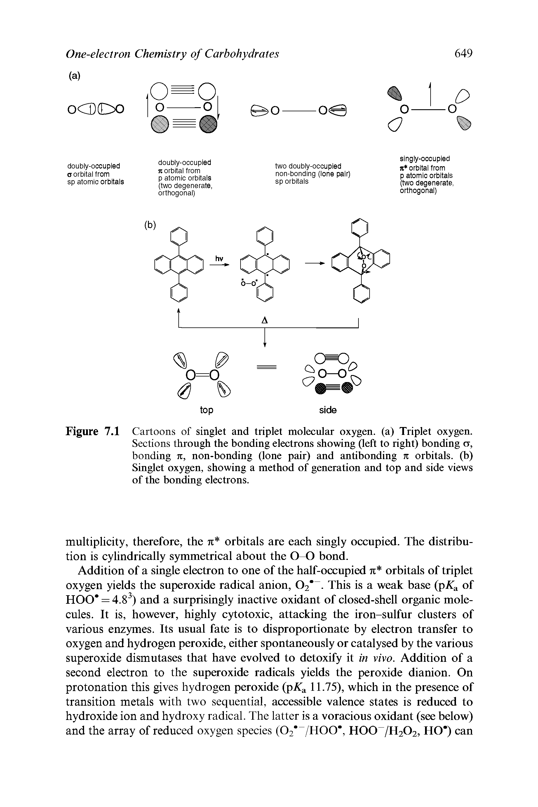 Figure 7.1 Cartoons of singlet and triplet molecular oxygen, (a) Triplet oxygen.