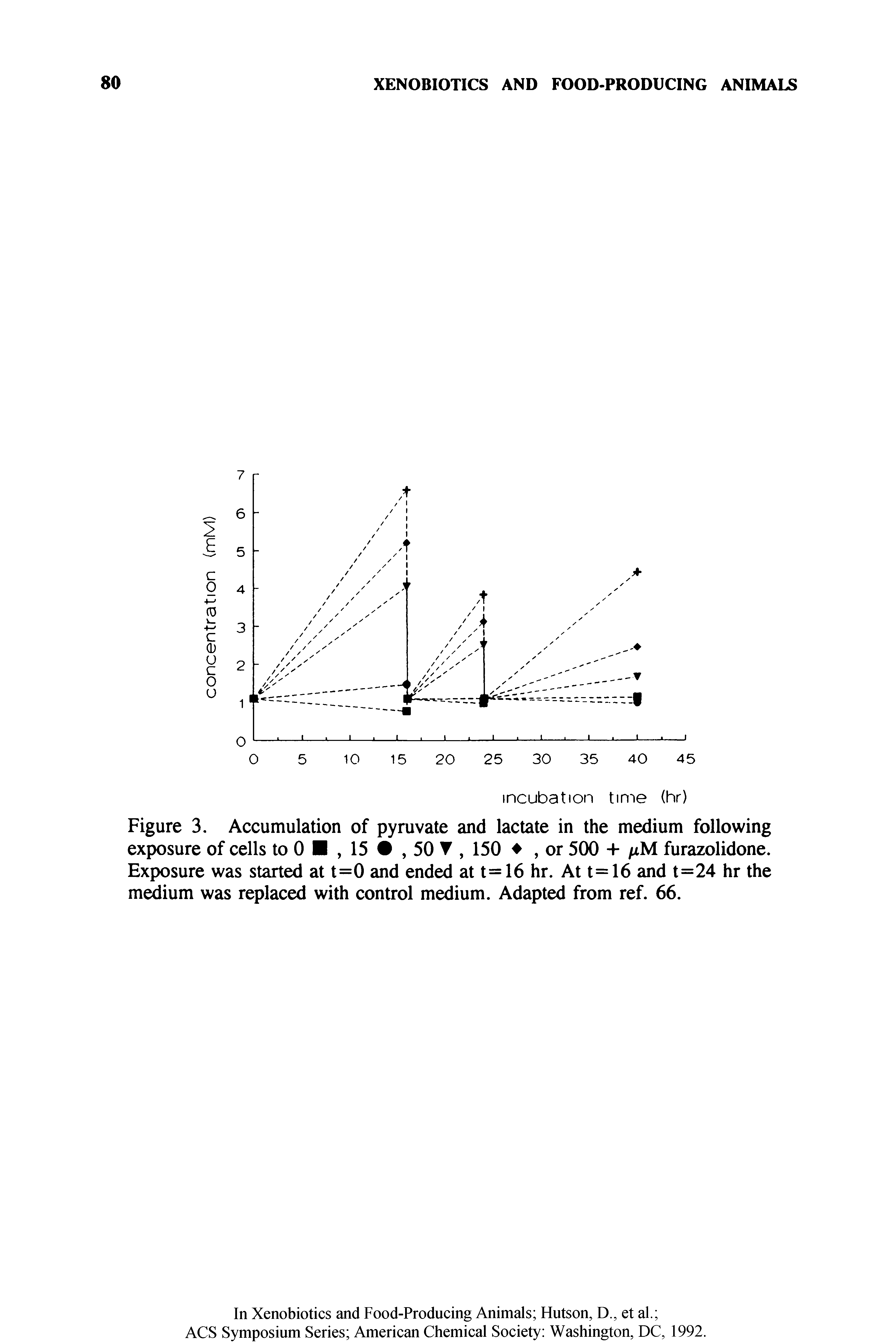 Figure 3. Accumulation of pyruvate and lactate in the medium following exposure of cells to 0 , 15 , 50 T, 150 , or 500 + /iM furazolidone. Exposure was started at t=0 and ended at t=16 hr. At t=16 and t=24 hr the medium was replaced with control medium. Adapted from ref. 66.