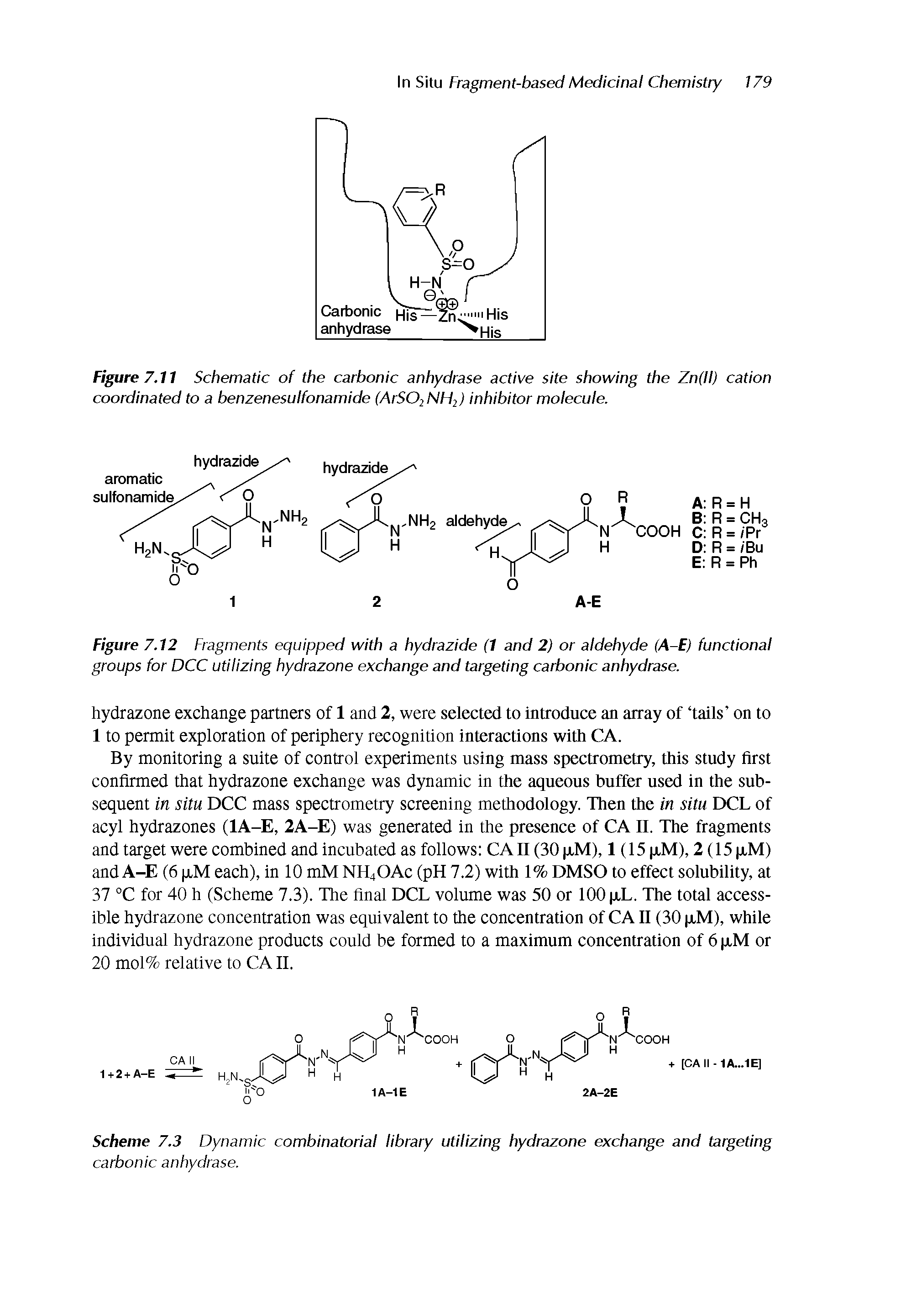 Figure 7.12 Fragments equipped with a hydrazide (1 and 2) or aldehyde (A-E) functional groups for DCC utilizing hydrazone exchange and targeting carbonic anhydrase.