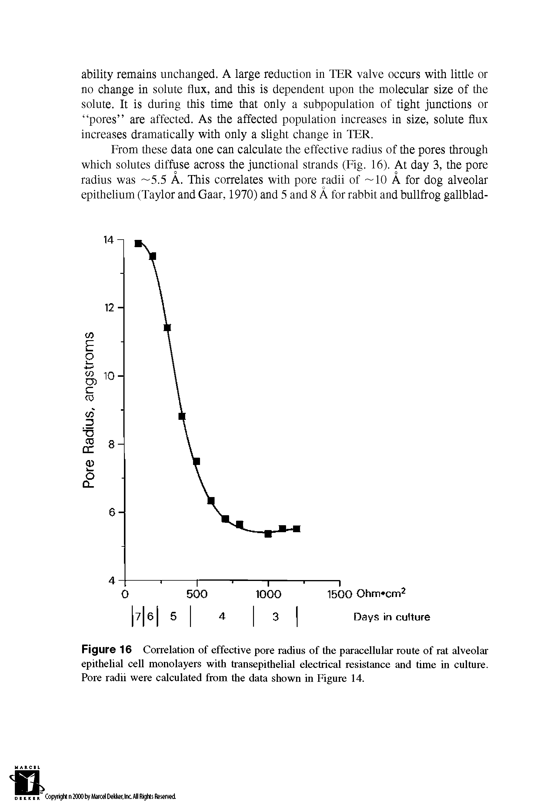 Figure 16 Correlation of effective pore radius of the paracellular route of rat alveolar epithelial cell monolayers with transepithelial electrical resistance and time in culture. Pore radii were calculated from the data shown in Figure 14.