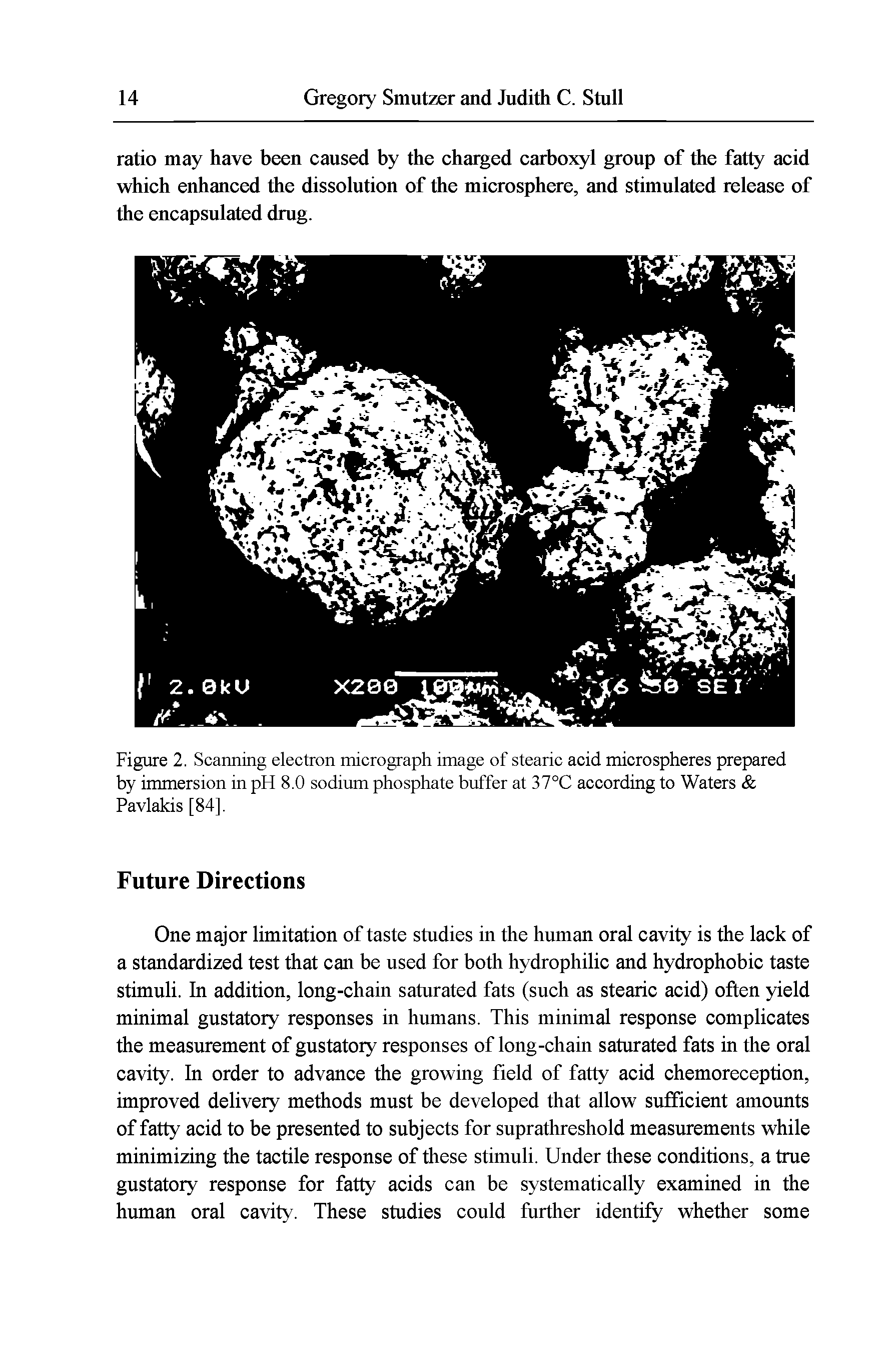 Figure 2. Scanning electron micrograph image of stearic acid microspheres prepared by immersion in pH 8.0 sodium phosphate buffer at 37°C according to Waters Pavlakis [84].