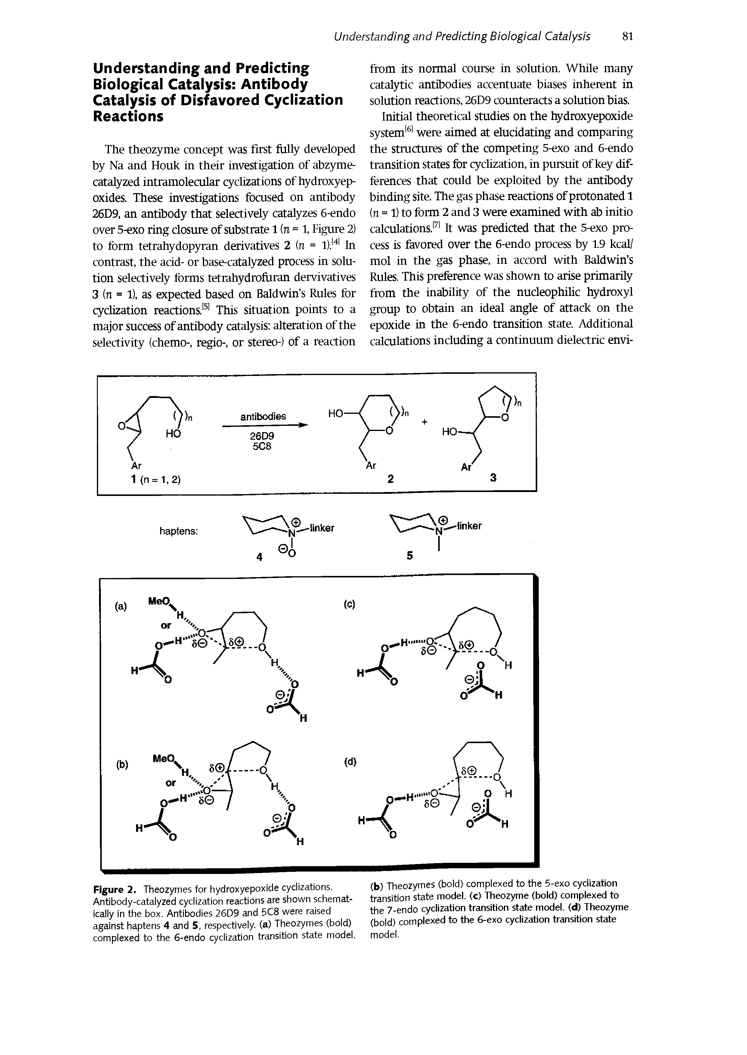 Figure 2. Theozymes for hydroxyepoxide cyclizations. Antibody-catalyzed cyclization reactions are shown schematically in the box. Antibodies 26D9 and 5C8 were raised against haptens 4 and 5, respectively, (a) Theozymes (bold) complexed to the 6-endo cyclization transition state model.