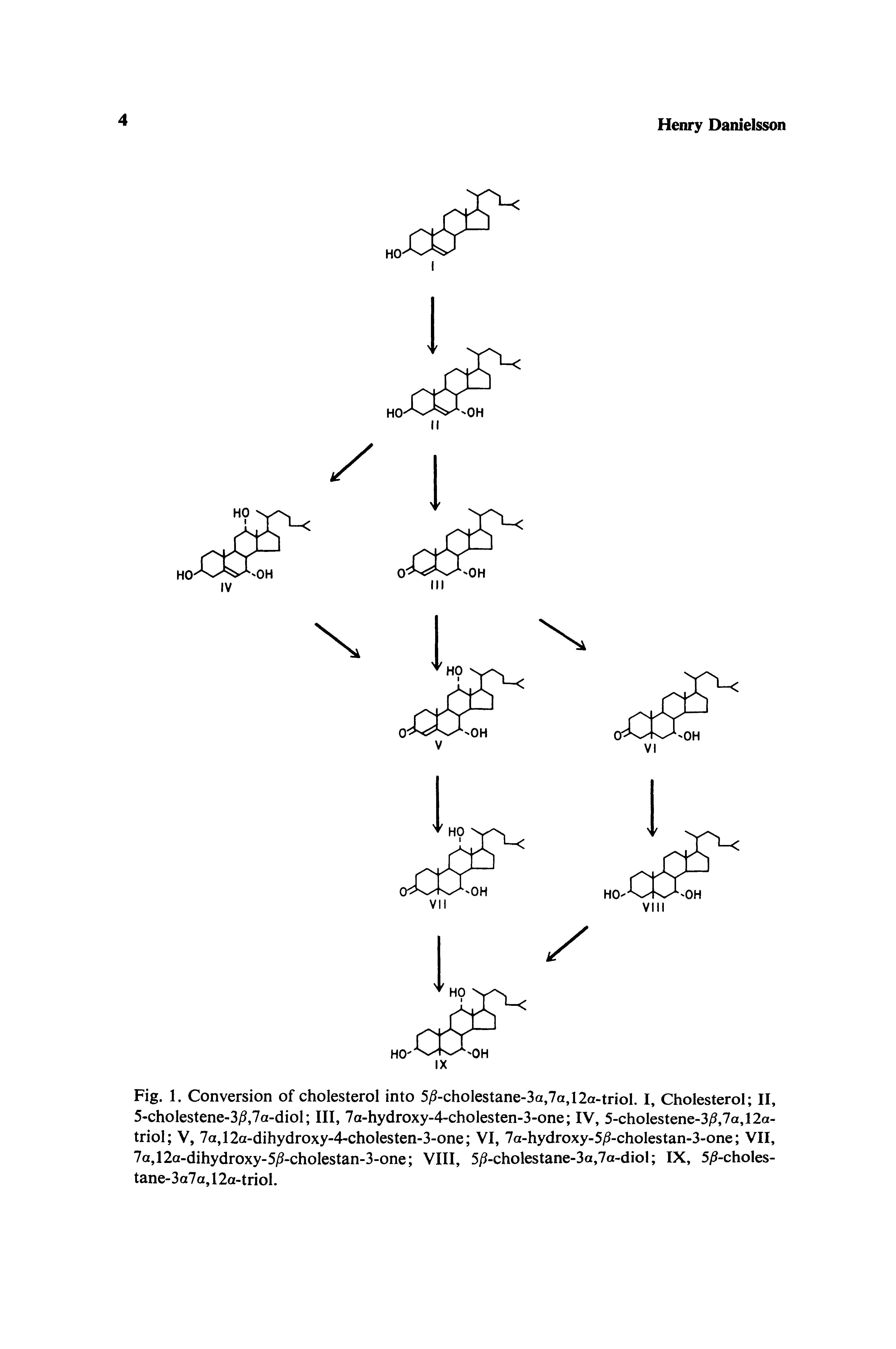 Fig. 1. Conversion of cholesterol into 5i -cholestane-3a,7a,12a-triol. I, Cholesterol II, 5-cholestene-3i5,7a-diol III, 7a-hydroxy-4-cholesten-3-one IV, 5-cholestene-3/5,7a,12a-triol V, 7a,12a-dihydroxy-4-cholesten-3-one VI, 7a-hydroxy-5/5-cholestan-3-one VII, 7a,12a-dihydroxy-5/5-cholestan-3-one VIII, 5 -cholestane-3a,7a-dio IX, 5i -choIes-tane-3a7a, 12a-triol.