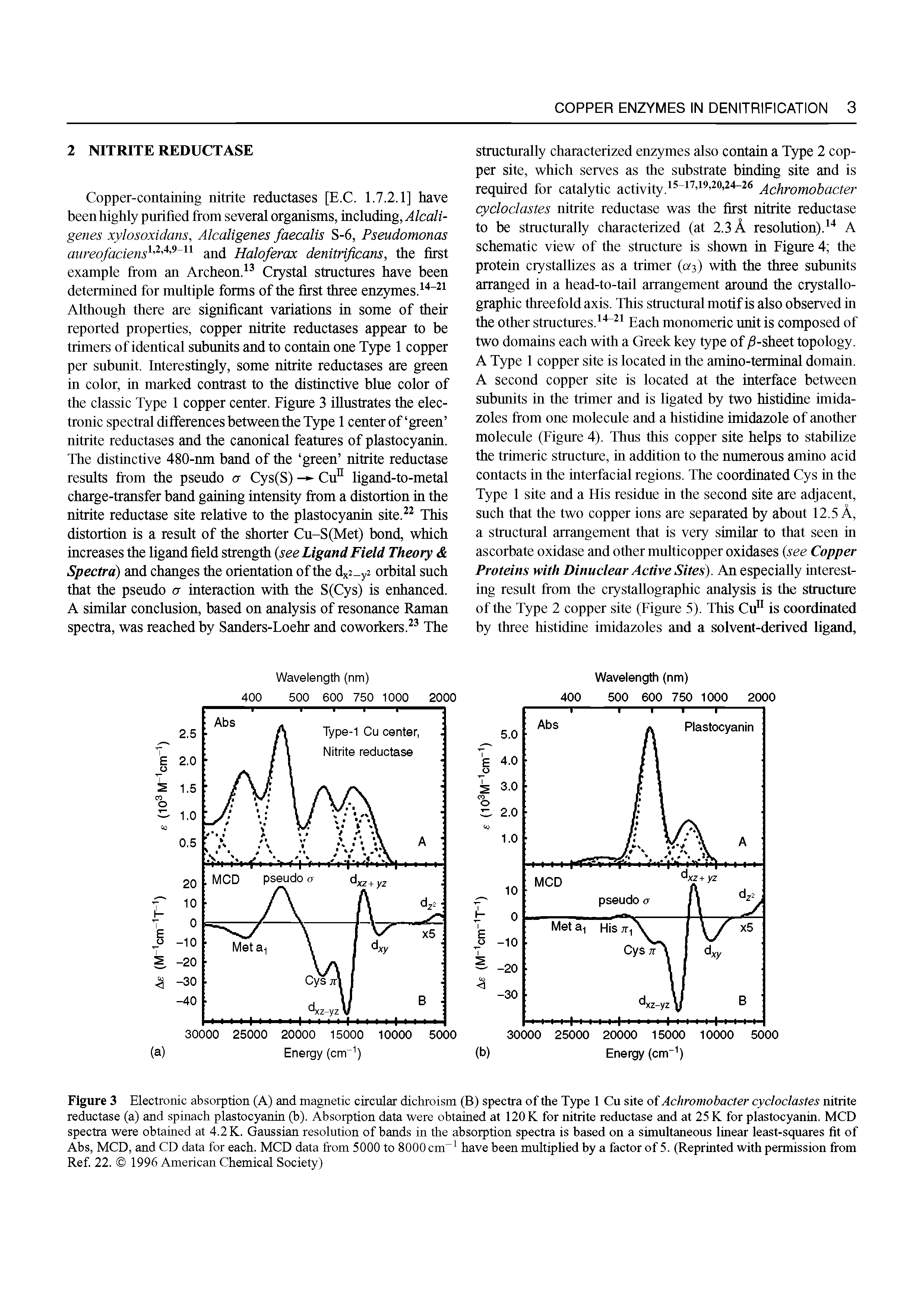 Figure 3 Electronic absorption (A) and magnetic circular dichroism (B) spectra of the Type 1 Cu site of Achromobacter cycloclastes nitrite reductase (a) and spinach plastocyanin (b). Absorption data were obtained at 120 K for nitrite reductase and at 25 K for plastocyanin. MCD spectra were obtained at 4.2 K. Gaussian resolution of bands in the absorption spectra is based on a simultaneous linear least-squares fit of Abs, MCD, and CD data for each. MCD data from 5000 to 8000 cm have been multiplied by a factor of 5. (Reprinted with permission from Ref. 22. 1996 American Chemical Society)...