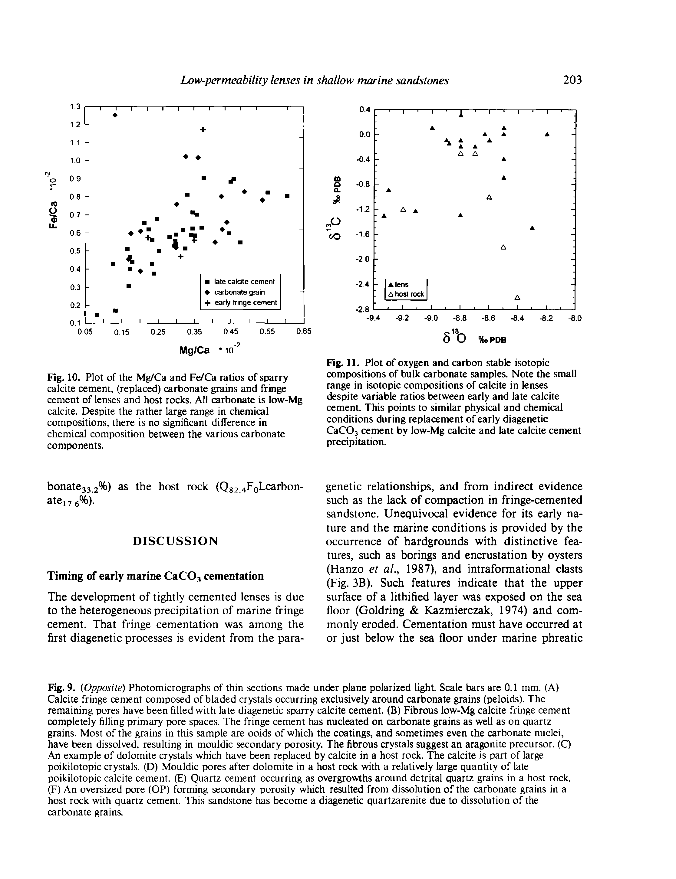 Fig. 10. Plot of the Mg/Ca and Fe/Ca ratios of sparry calcite cement, (replaced) carbonate grains and fringe cement of lenses and host rocks. All carbonate is low-Mg calcite. Despite the rather large range in chemical compositions, there is no significant difference in chemical composition between the various carbonate components.