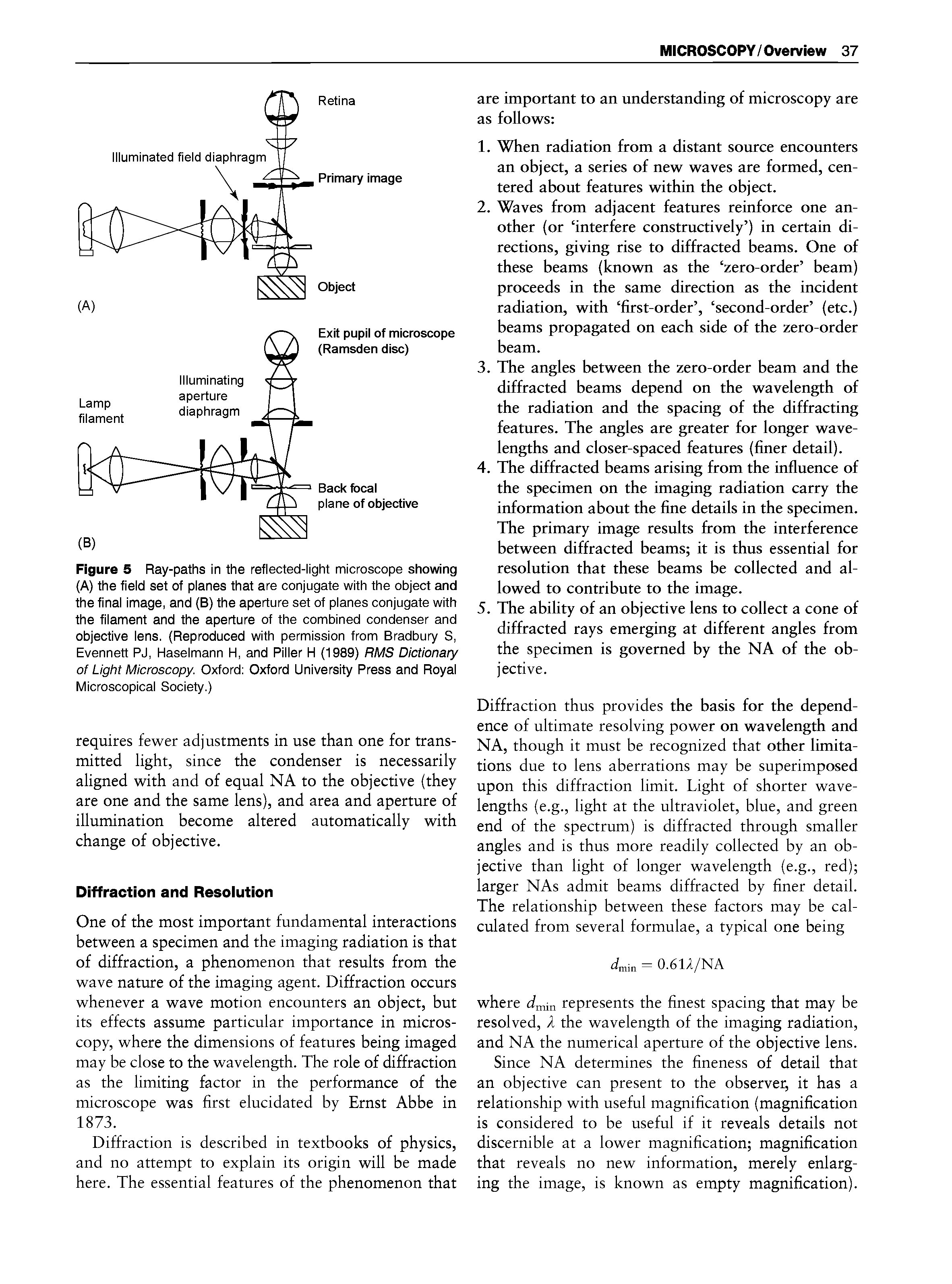 Figure 5 Ray-paths in the reflected-light microscope showing (A) the field set of planes that are conjugate with the object and the final image, and (B) the aperture set of planes conjugate with the filament and the aperture of the combined condenser and objective lens. (Reproduced with permission from Bradbury S, Evennett PJ, Haselmann H, and Filler H (1989) RMS Dictionary of Light Microscopy. Oxford Oxford University Press and Royal Microscopical Society.)...