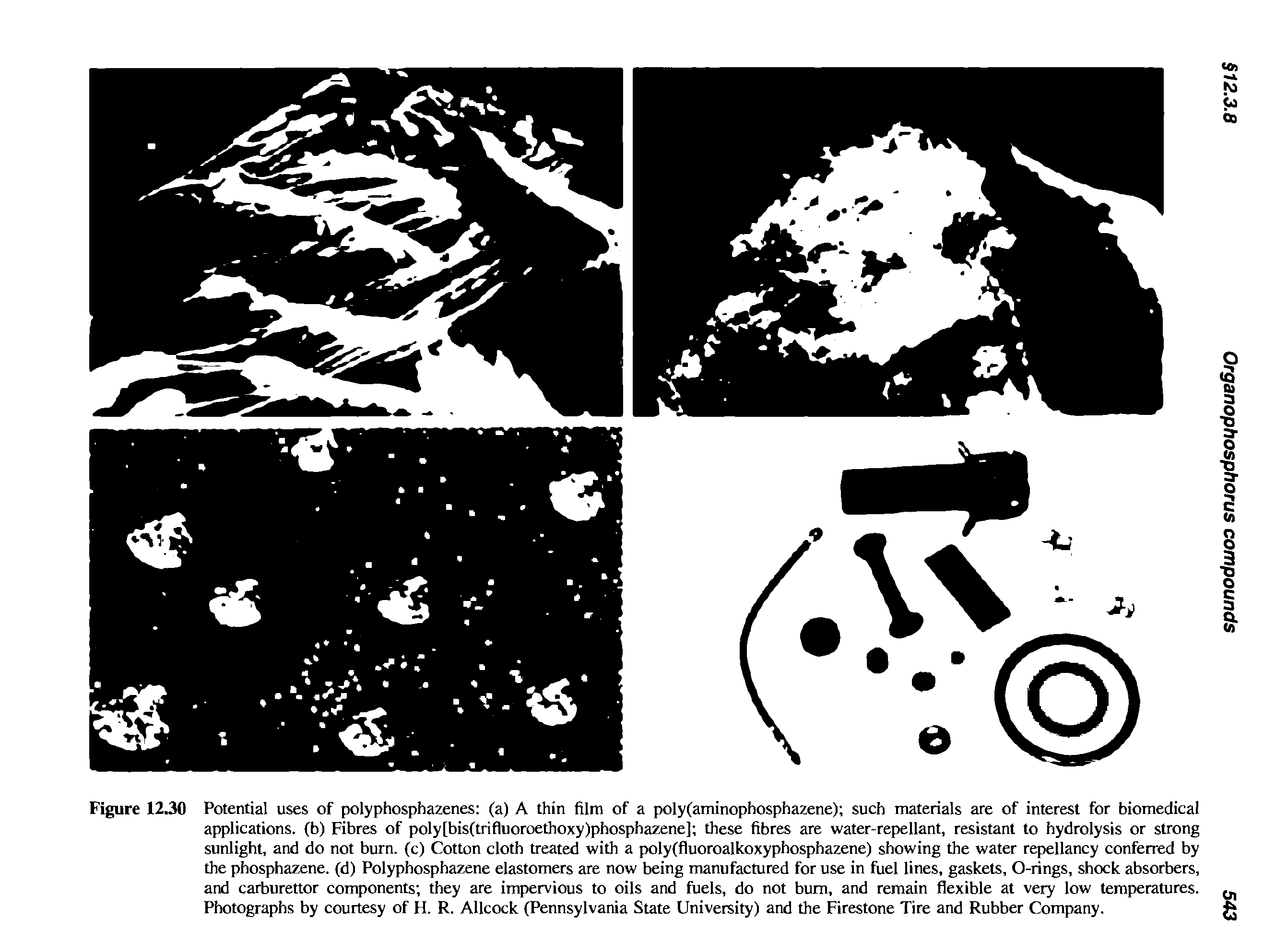 Figure 12.30 Potential uses of polyphosphazenes (a) A thin film of a poly(aminophosphazene) sueh materials are of interest for biomedical applications, (b) Fibres of poly[bis(trifluoroethoxy)phosphazene] these fibres are water-repellant, resistant to hydrolysis or strong sunlight, and do not burn, (c) Cotton cloth treated with a poly(fluoroalkoxyphosphazene) showing the water repellaney eonferred by the phosphazene. (d) Polyphosphazene elastomers are now being manufaetured for use in fuel lines, gaskets, O-rings, shock absorbers, and carburettor eomponents they are impervious to oils and fuels, do not bum, and remain flexible at very low temperatures. Photographs by eourtesy of H. R. Allcock (Pennsylvania State University) and the Firestone Tire and Rubber Company.