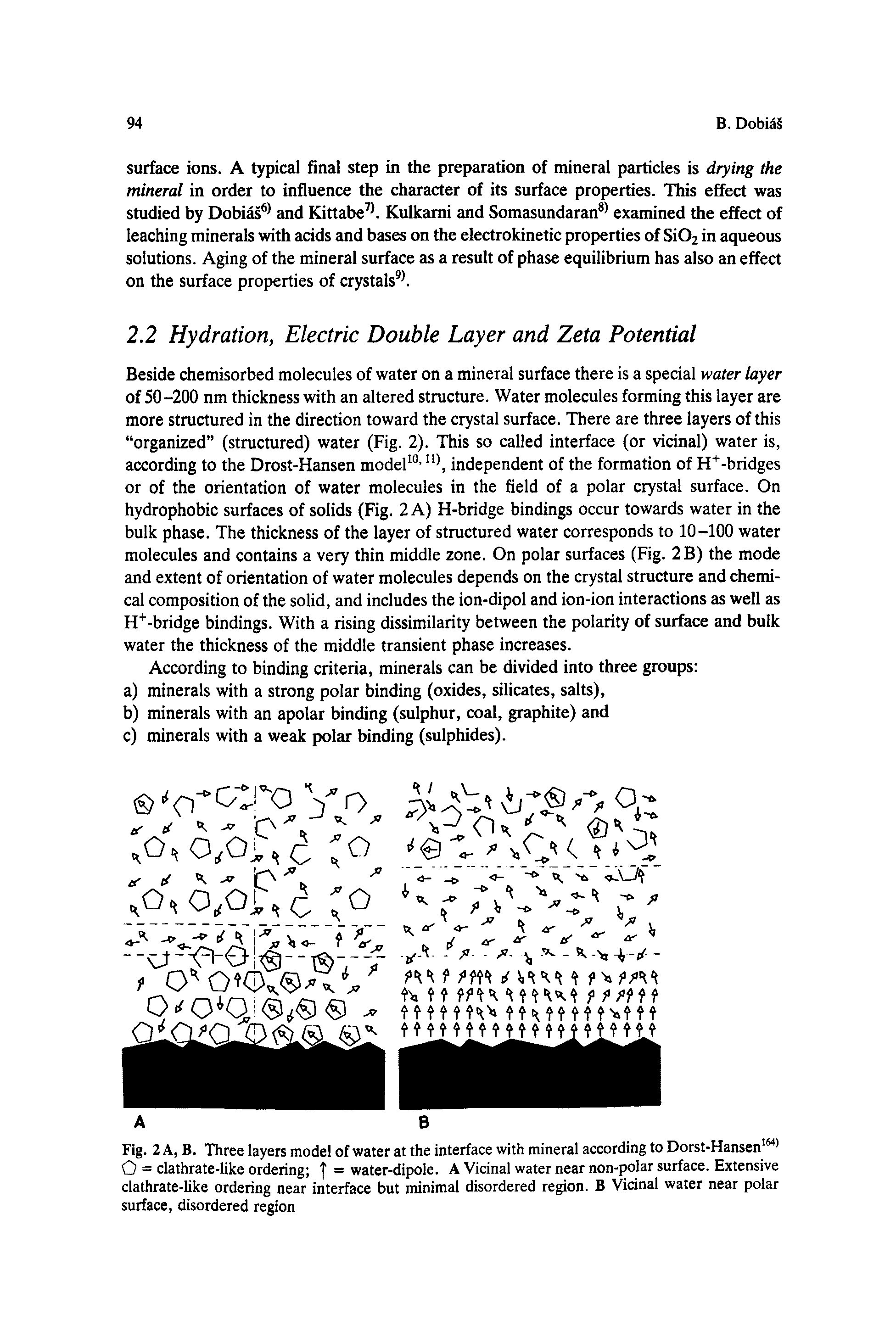 Fig. 2 A, B. Three layers model of water at the interface with mineral according to Dorst-Hansen164) O = clathrate-like ordering ] = water-dipole. A Vicinal water near non-polar surface. Extensive clathrate-like ordering near interface but minimal disordered region. B Vicinal water near polar surface, disordered region...