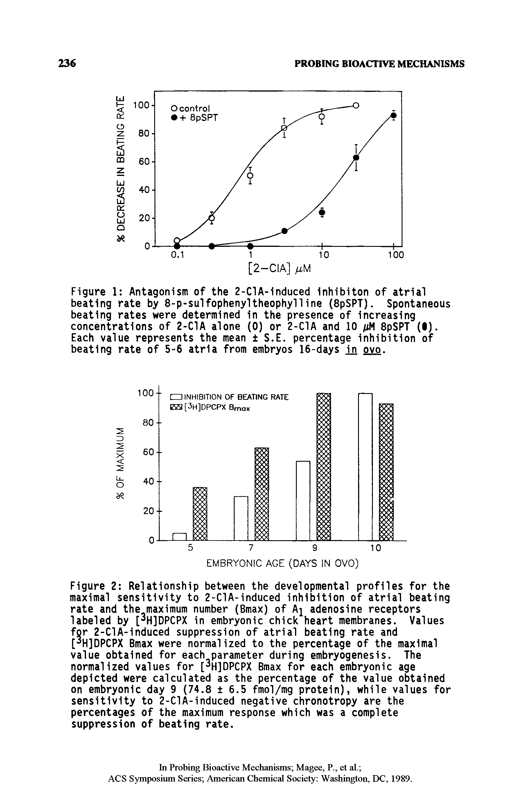 Figure 2 Relationship between the developmental profiles for the maximal sensitivity to 2-ClA-induced inhibition of atrial beating rate and the maximum number (Bmax) of Aj adenosine receptors labeled by [ HJDPCPX in embryonic chick heart membranes. Values for 2-ClA-induced suppression of atrial beating rate and [ H]DPCPX Bmax were normalized to the percentage of the maximal value obtained for each parameter during embryogenesis. The normalized values for [ HJDPCPX Bmax for each embryonic age depicted were calculated as the percentage of the value obtained on embryonic day 9 (74.8 6.5 fmol/mg protein), while values for sensitivity to 2-ClA-induced negative chronotropy are the percentages of the maximum response which was a complete suppression of beating rate.