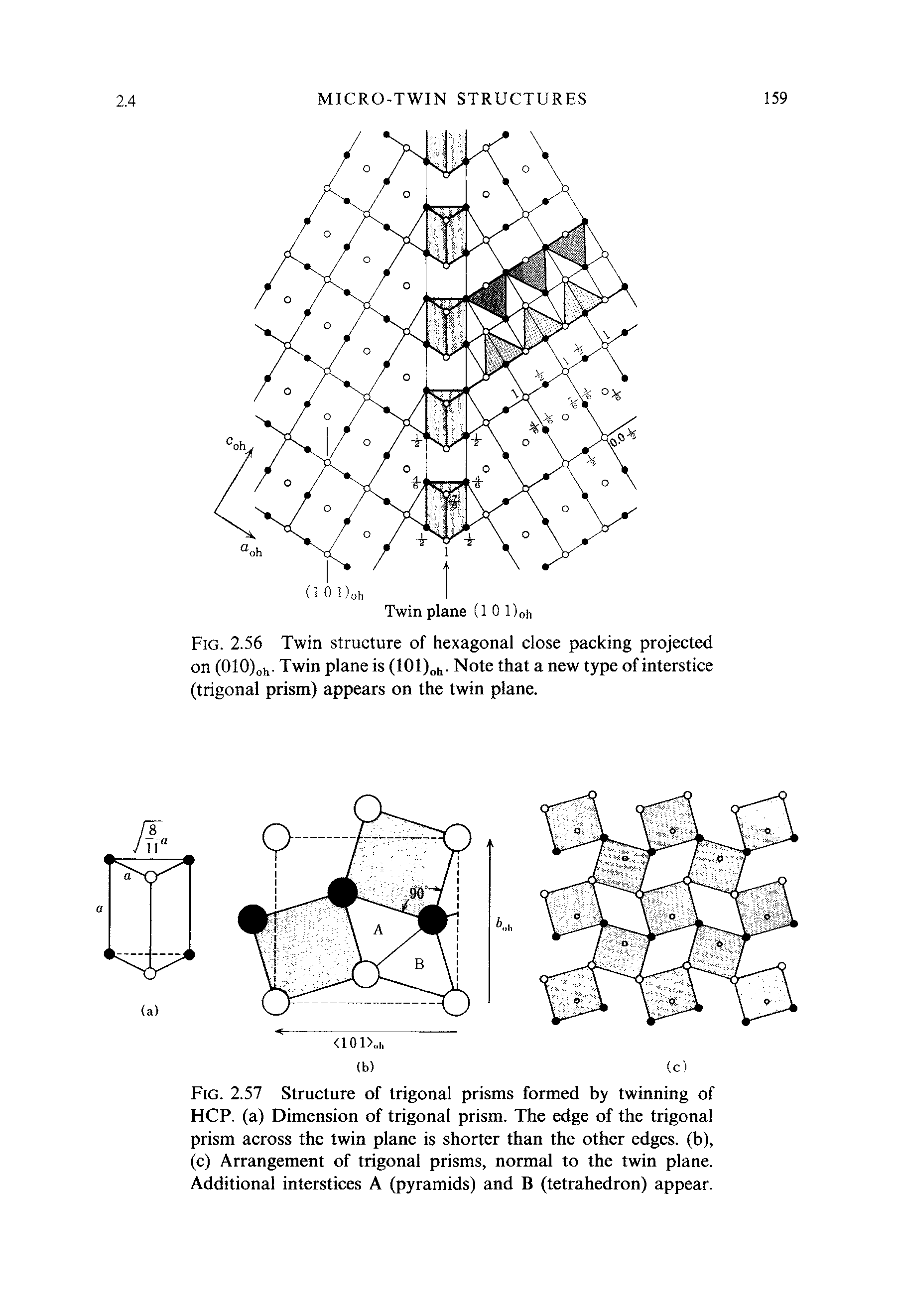 Fig. 2.56 Twin structure of hexagonal close packing projected on (OlO)oh - Twin plane is (101),. Note that a new type of interstice (trigonal prism) appears on the twin plane.