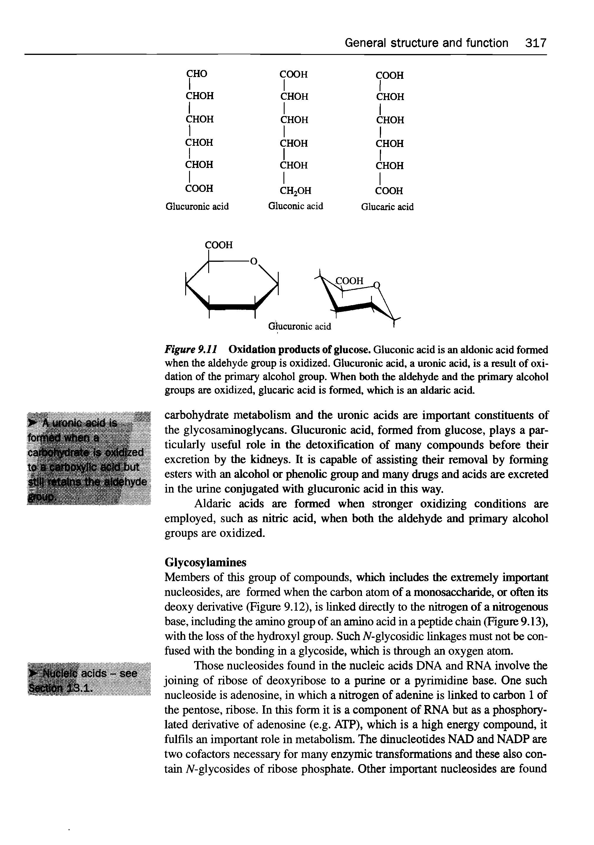 Figure 9.11 Oxidation products of glucose. Gluconic acid is an aldonic acid formed when the aldehyde group is oxidized. Glucuronic acid, a uronic acid, is a result of oxidation of the primary alcohol group. When both the aldehyde and the primary alcohol groups are oxidized, glucaric acid is formed, which is an aldaric acid.