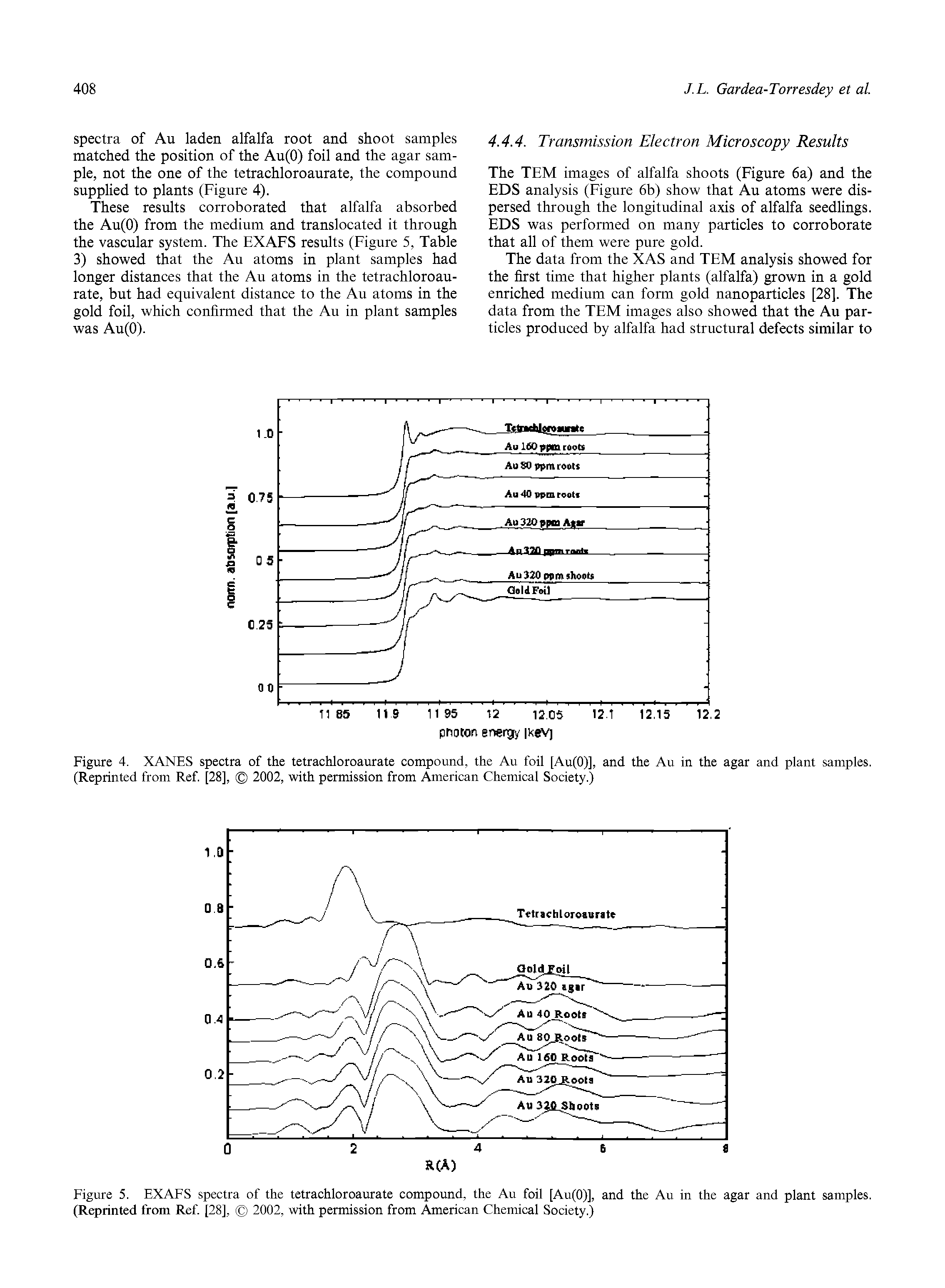 Figure 4. XANES spectra of the tetrachloroaurate compound, the Au foil [Au(0)], and the Au in the agar and plant samples. (Reprinted from Ref. [28], 2002, with permission from American Chemical Society.)...