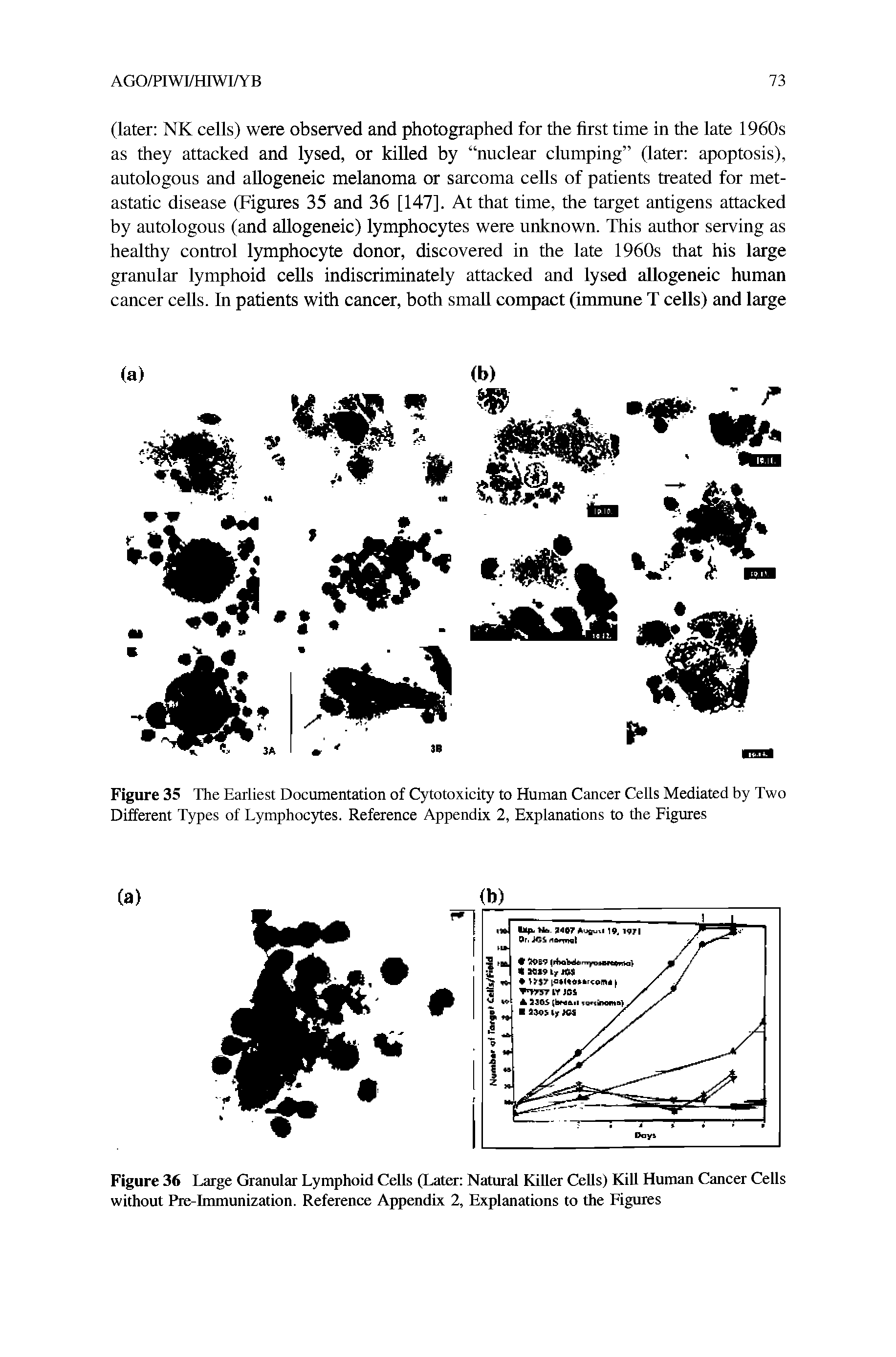 Figure 36 Large Granular Lymphoid Cells (Later Natural Killer Cells) Kill Human Cancer Cells without Pre-Immunization. Reference Appendix 2, Explanations to the Figures...