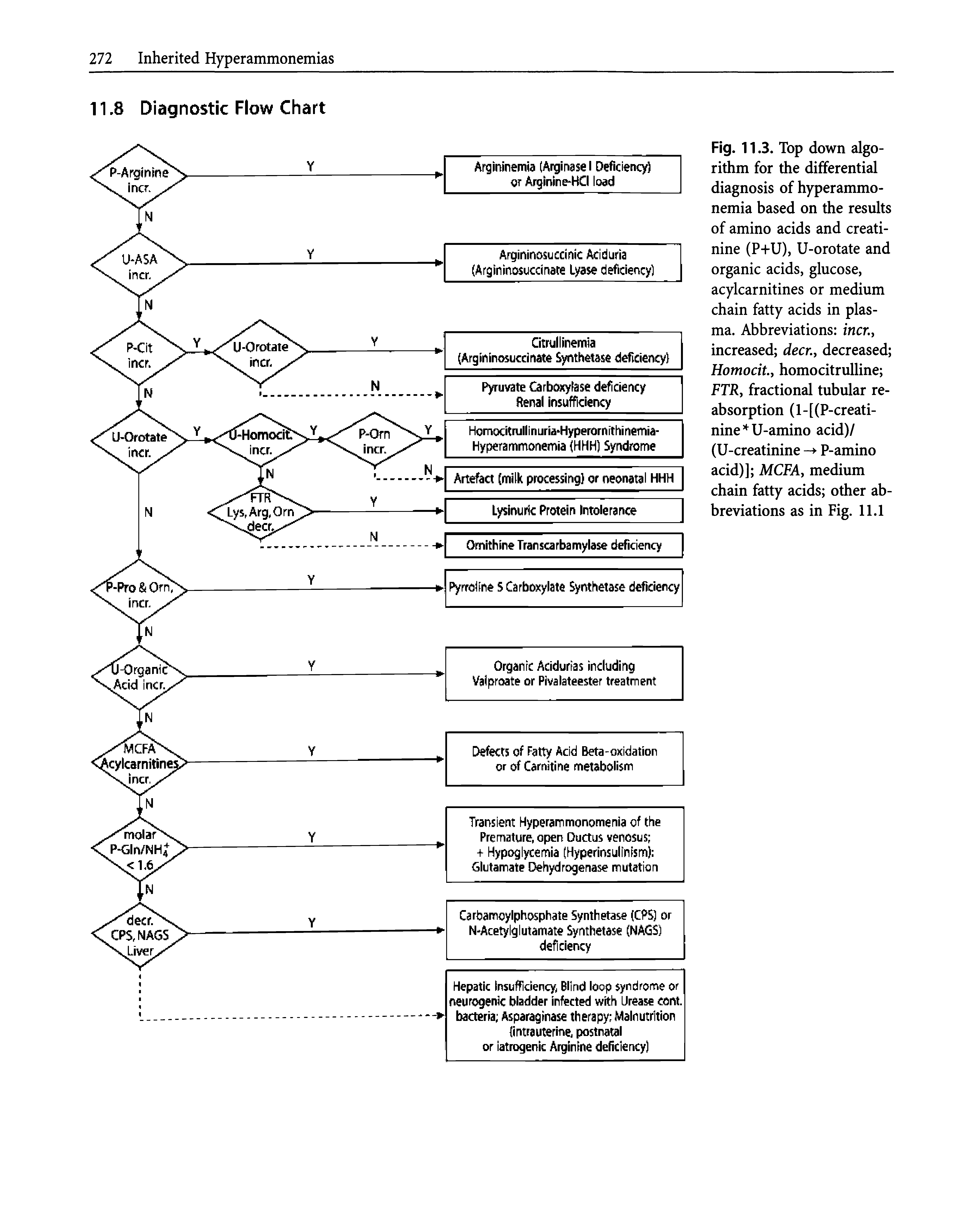 Fig. 11.3. Top down algorithm for the differential diagnosis of hyperammonemia based on the results of amino acids and creatinine (P+U), U-orotate and organic acids, glucose, acylcarnitines or medium chain fatty acids in plasma. Abbreviations men, increased deer., decreased Homocity homocitruUine FTRy fractional tubular reabsorption (l-[(P-creati-nine U-amino acid)/ (U-creatinine -> P-amino acid)] MCFAy medium chain fatty acids other abbreviations as in Fig. 11.1...