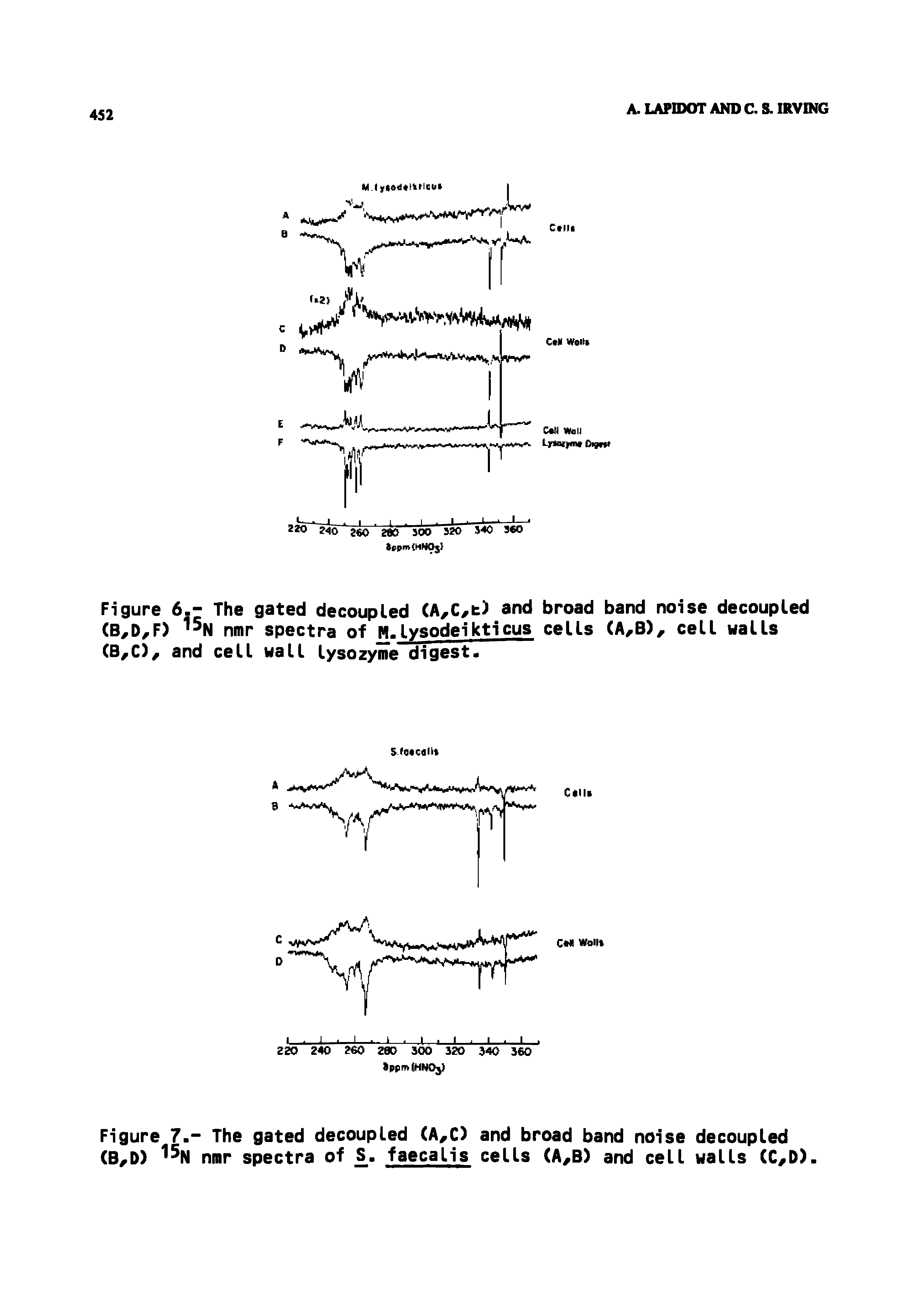 Figure 6.- The gated decoupled (A C b) and broad band noise decoupled (B,D/F) ISn nmr spectra of H.lysodeikticus cells (A/B) cell walls (B/C)/ and cell wall lysozyme digest.