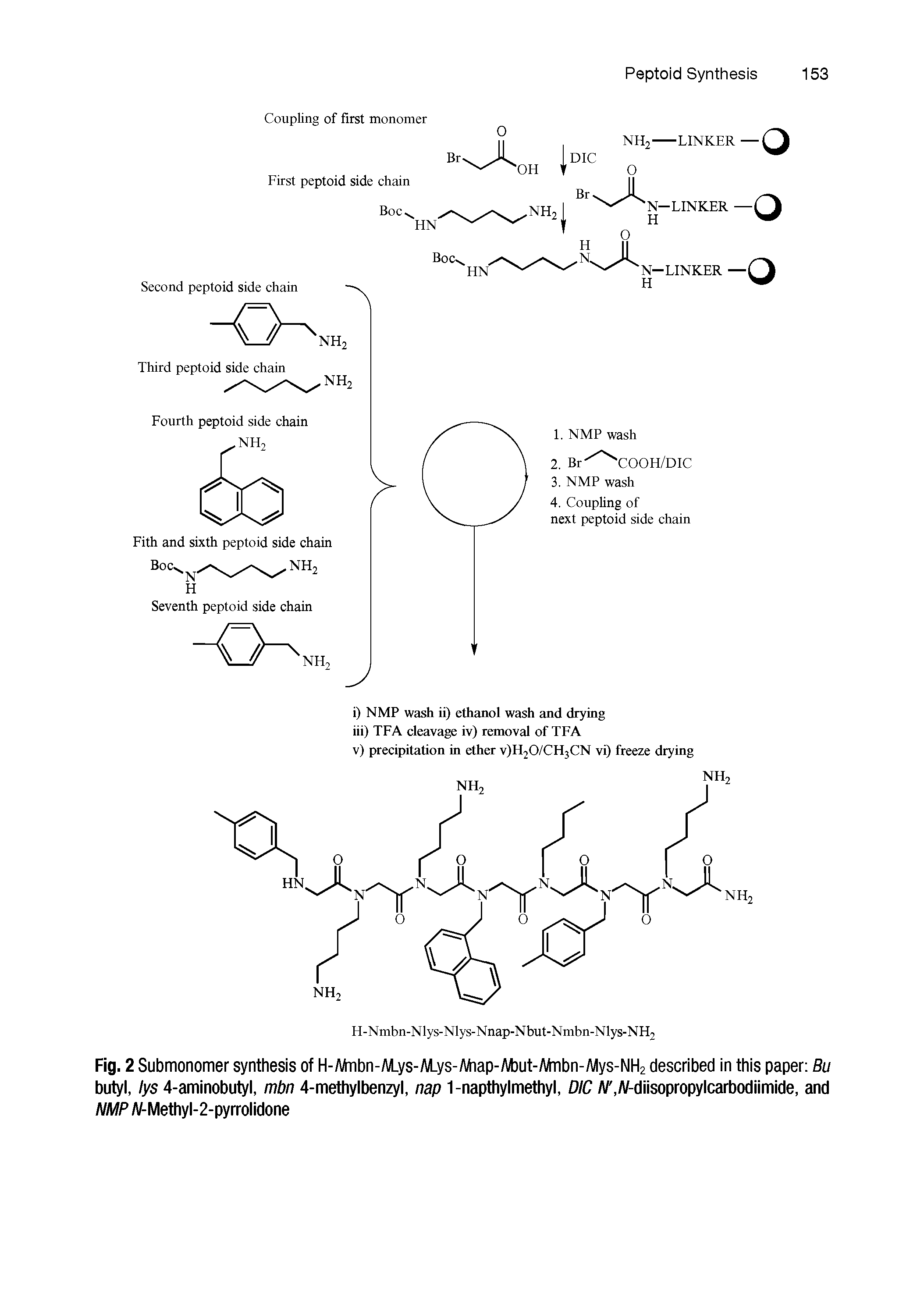 Fig. 2 Submonomer synthesis of H-Mnbn-M.ys-M.ys-Miap-M3ut-Mribn-y ilys-NH2 described in this paper Bu butyl, lys 4-aminobutyl, mbn 4-methylbenzyl, nap 1-napthylmethyl, DIC /V, /V-diisopropylcarbodiimide, and NMP /V-Methyl-2-pyrrolidone...