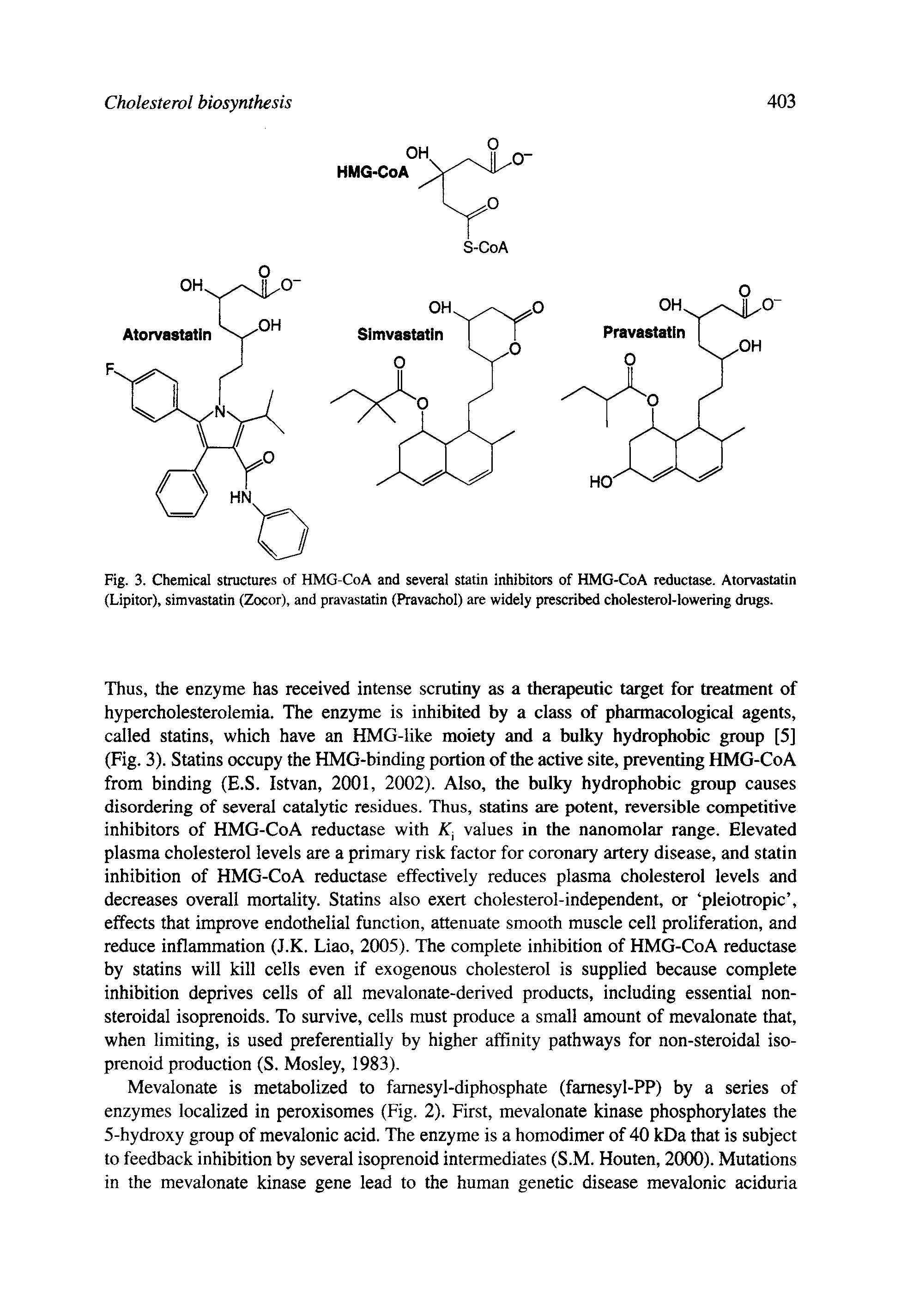 Fig. 3. Chemical structures of HMG-CoA and several statin inhibitors of HMG-CoA reductase. Atorvastatin (Lipitor), simvastatin (Zocor), and pravastatin (Pravachol) are widely prescribed cholesterol-lowering drugs.