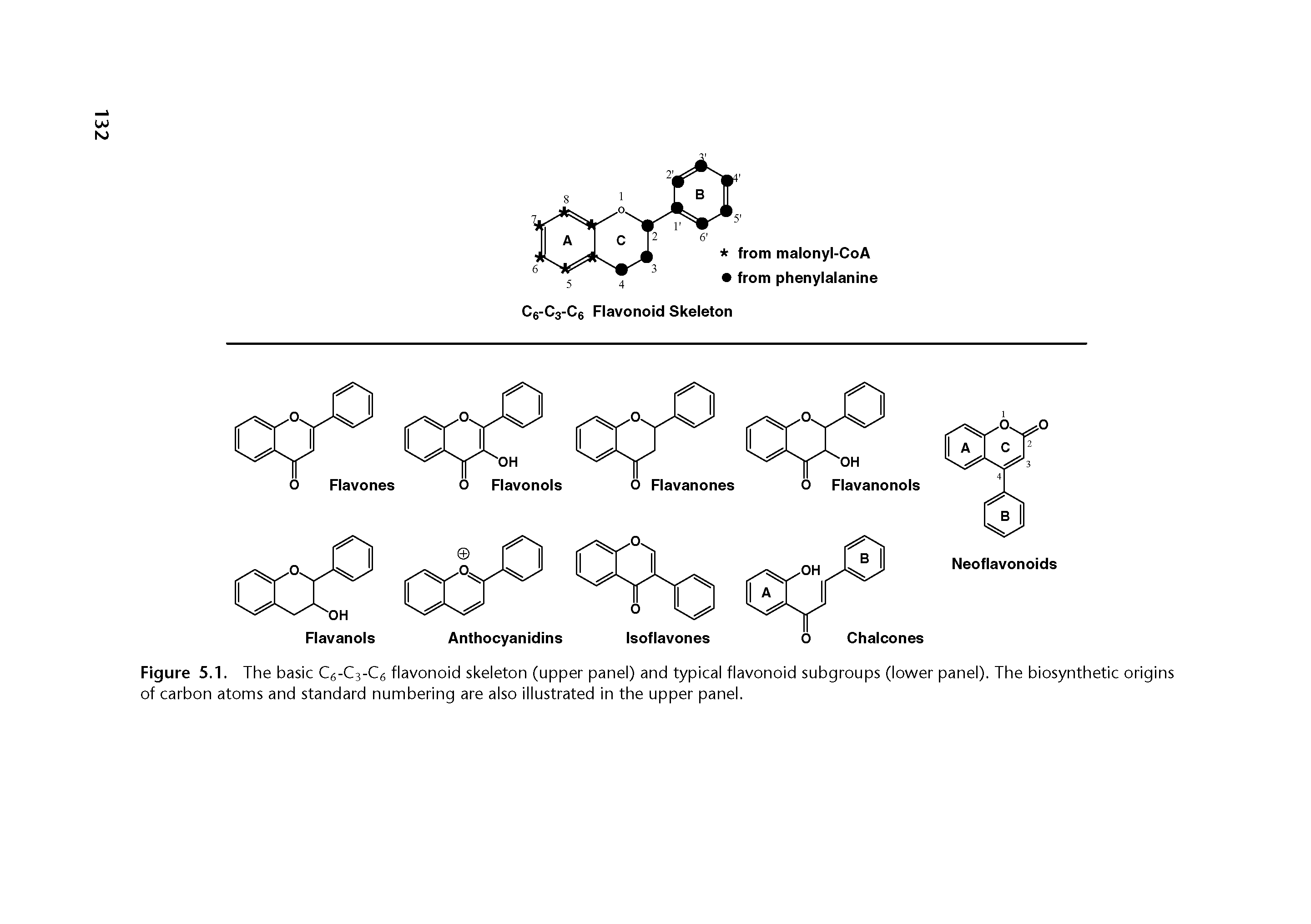 Figure 5.1. The basic C6-C3-C6 flavonoid skeleton (upper panel) and typical flavonoid subgroups (lower panel). The biosynthetic origins of carbon atoms and standard numbering are also illustrated in the upper panel.