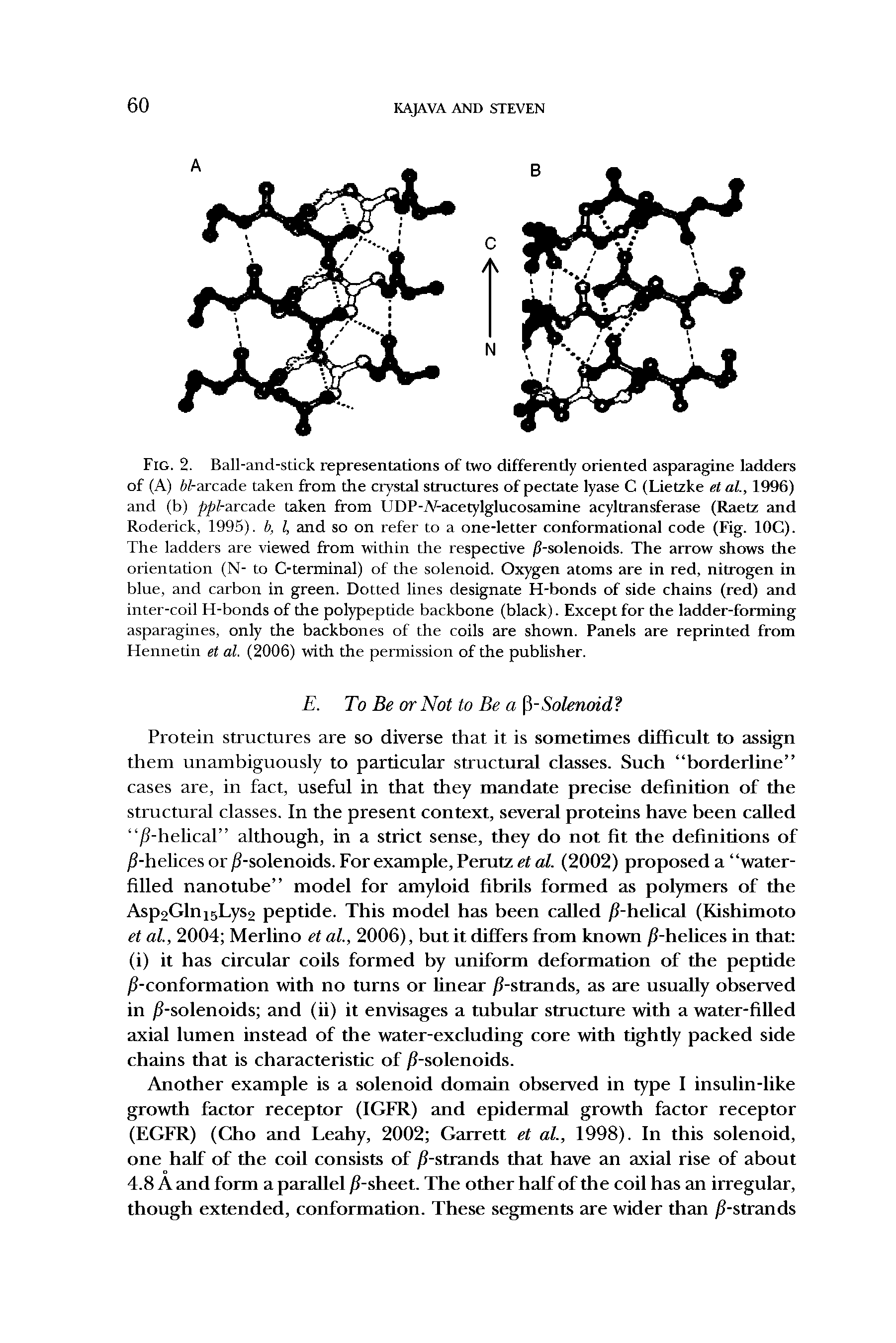 Fig. 2. Ball-and-stick representations of two differently oriented asparagine ladders of (A) W-arcade taken from the crystal structures of pectate lyase C (Lietzke et al., 1996) and (b) ppl-arcade taken from l DP-.V-aretylglucosamine acyltransferase (Raetz and Roderick, 1995). b, l, and so on refer to a one-letter conformational code (Fig. IOC). The ladders are viewed from within the respective /(-solenoids. The arrow shows the orientation (N- to C-terminal) of the solenoid. Oxygen atoms are in red, nitrogen in blue, and carbon in green. Dotted lines designate H-bonds of side chains (red) and inter-coil H-bonds of the polypeptide backbone (black). Except for the ladder-forming asparagines, only the backbones of the coils are shown. Panels are reprinted from Hennetin et al. (2006) with the permission of the publisher.